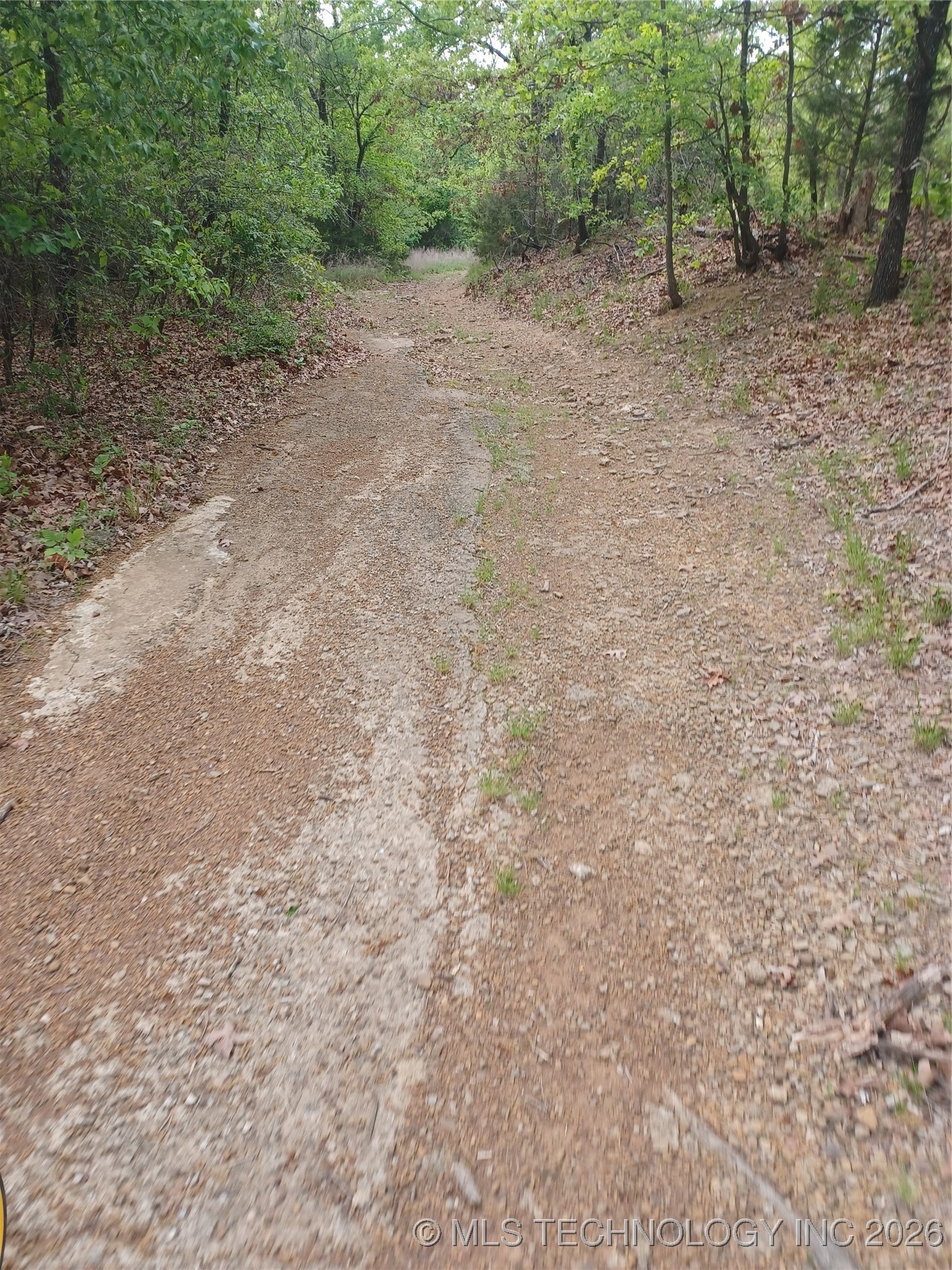 Flounder Property Photo 17