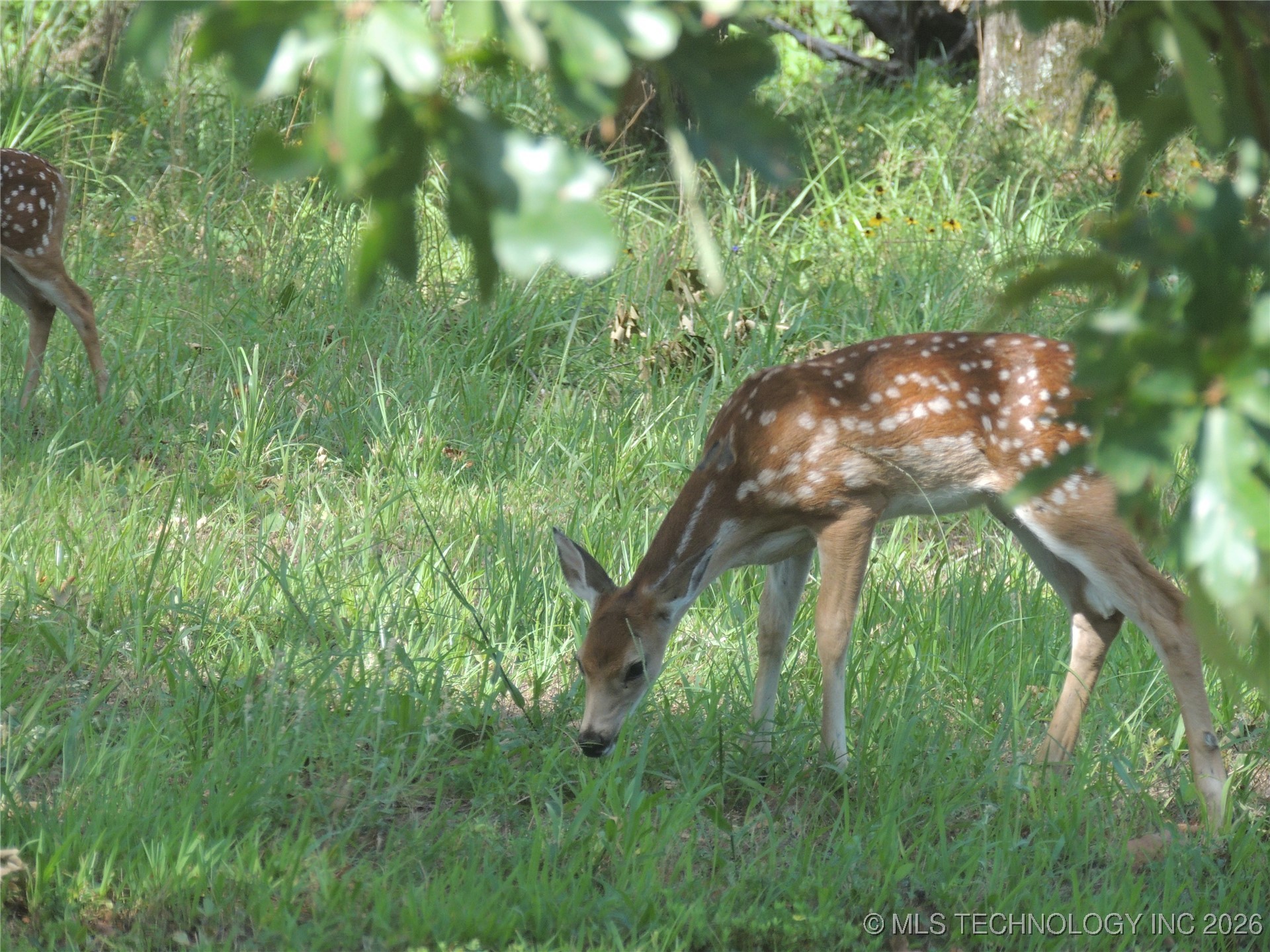 9003 S Osage Lane Property Photo 18