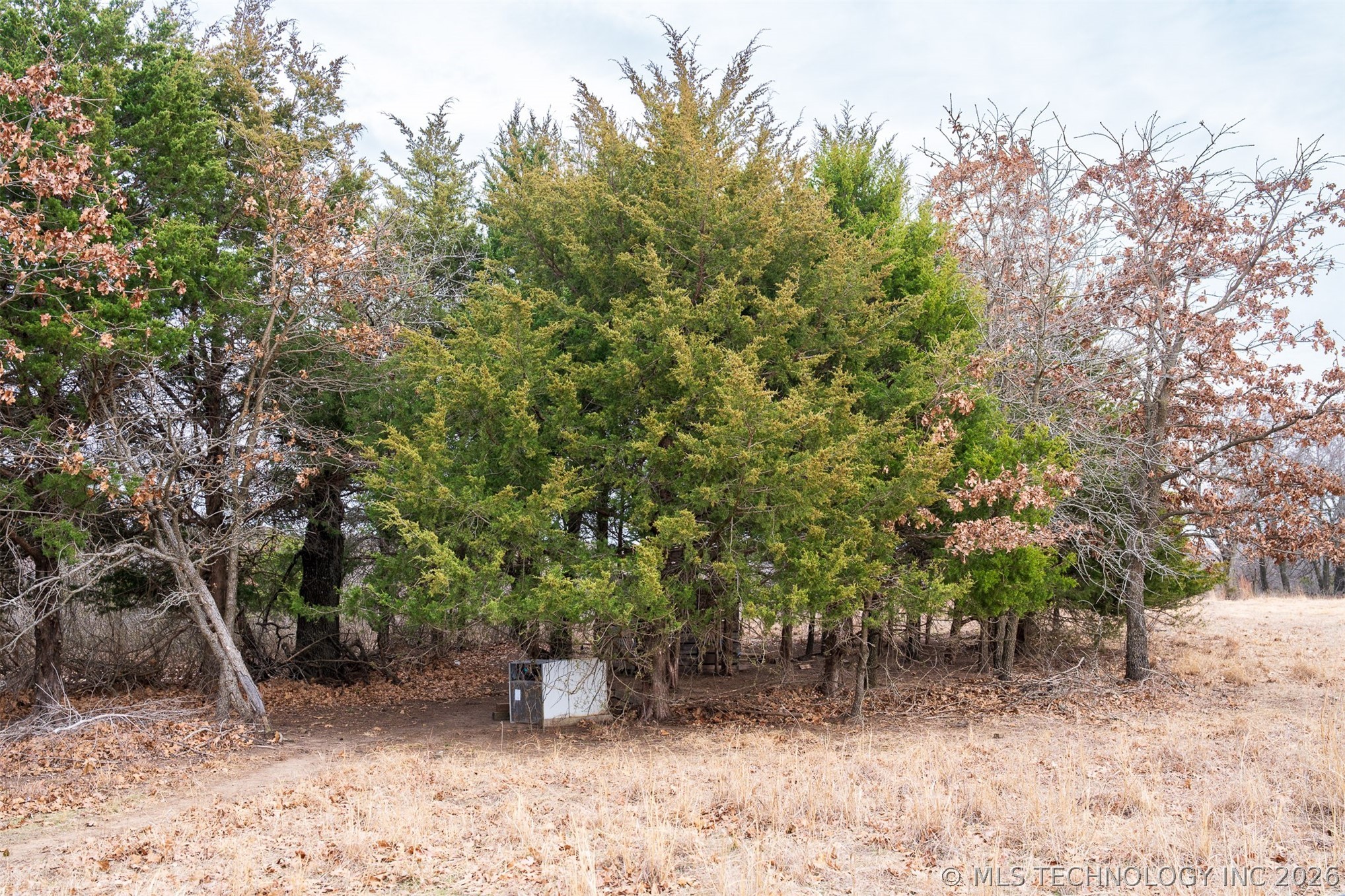 53390 N 35800 Road Property Photo 52