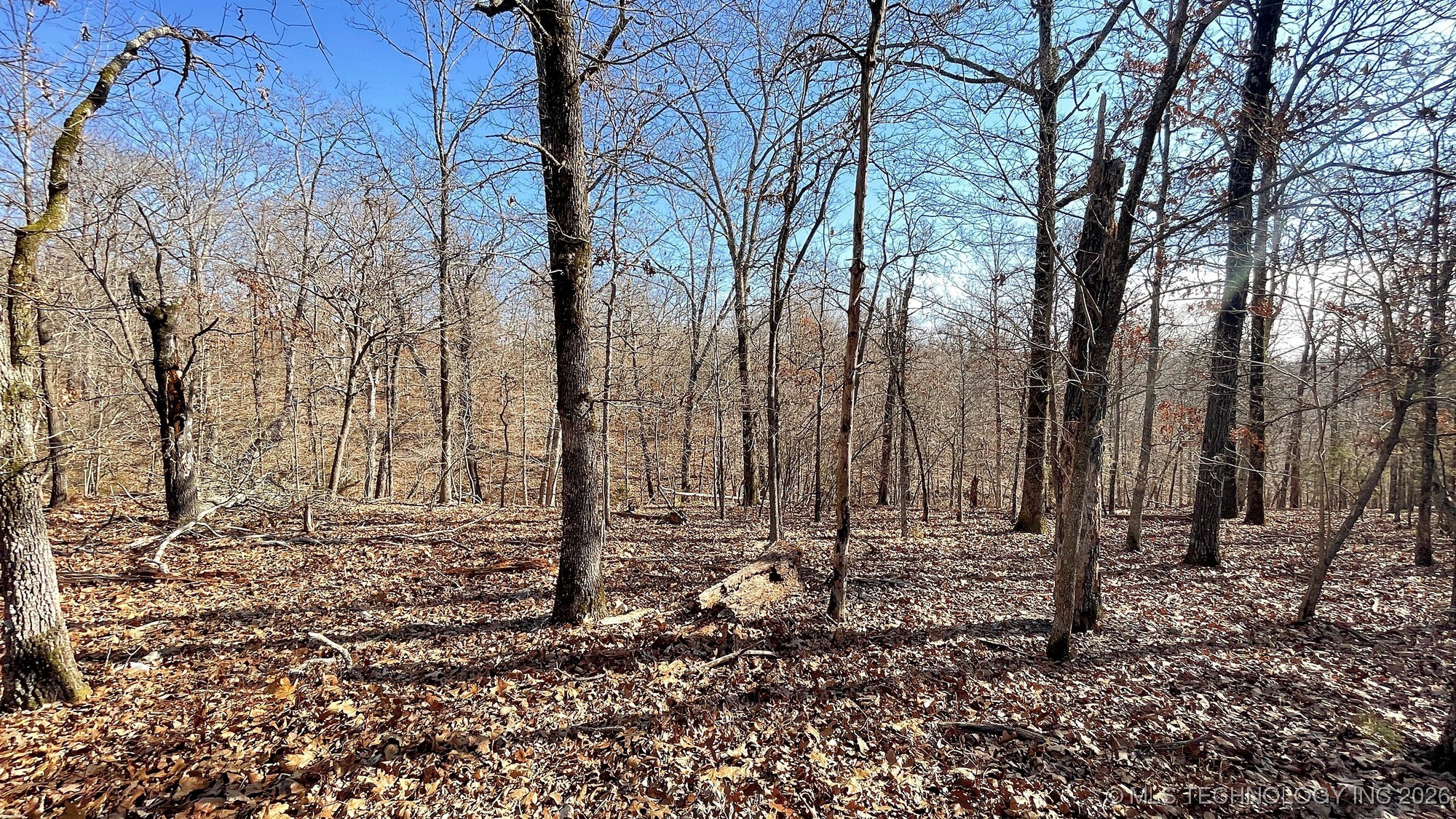 2361 Overlook Trace Property Photo 4