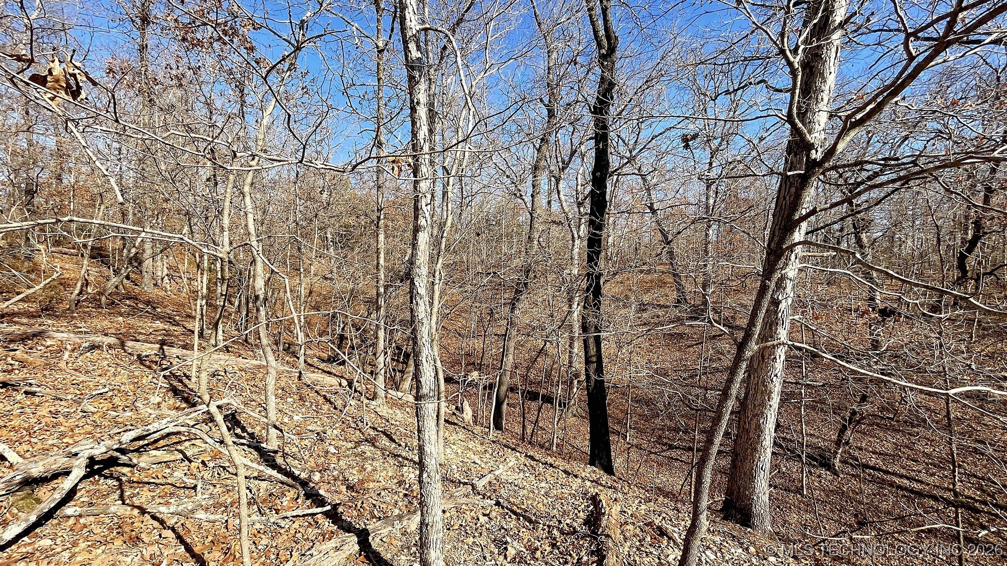 2361 Overlook Trace Property Photo 6