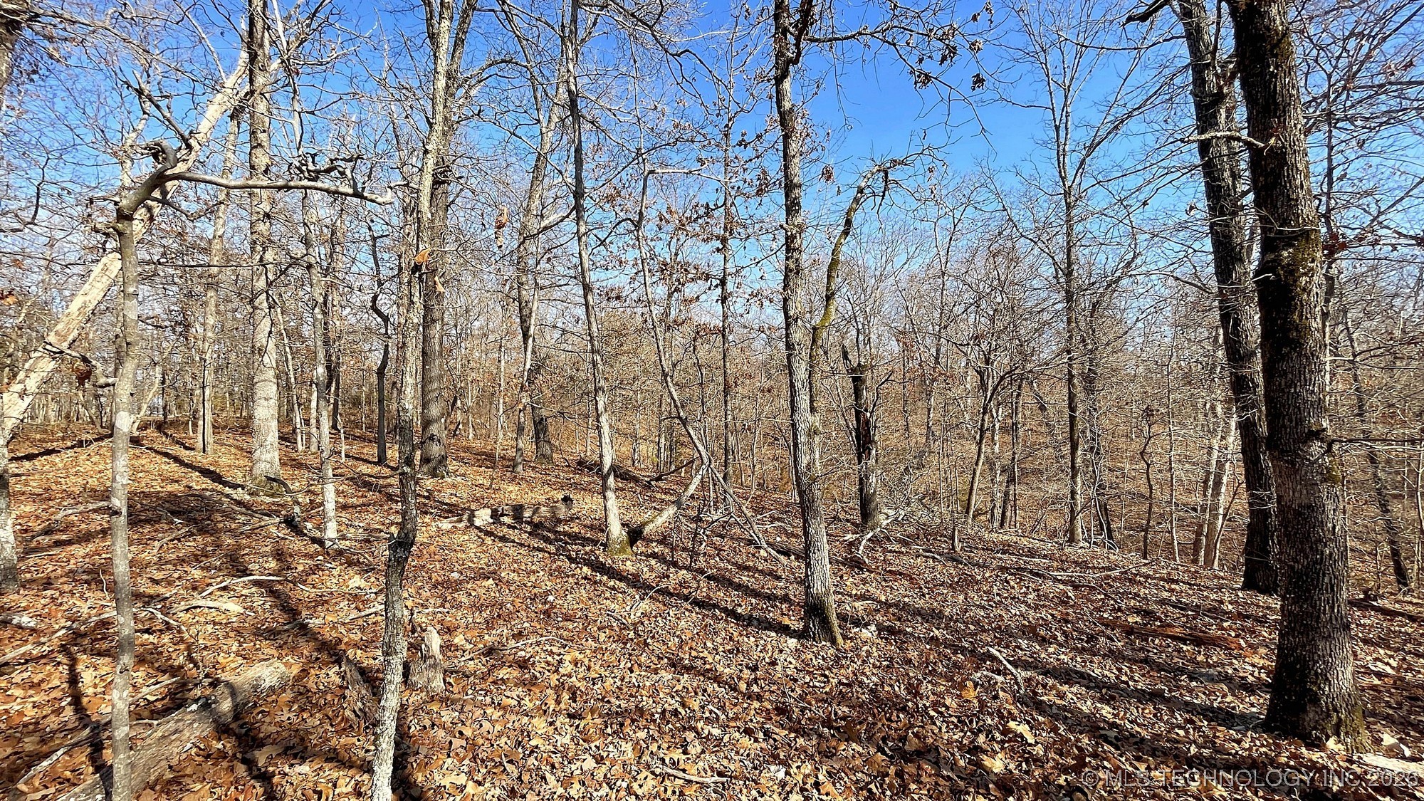 2361 Overlook Trace Property Photo 8