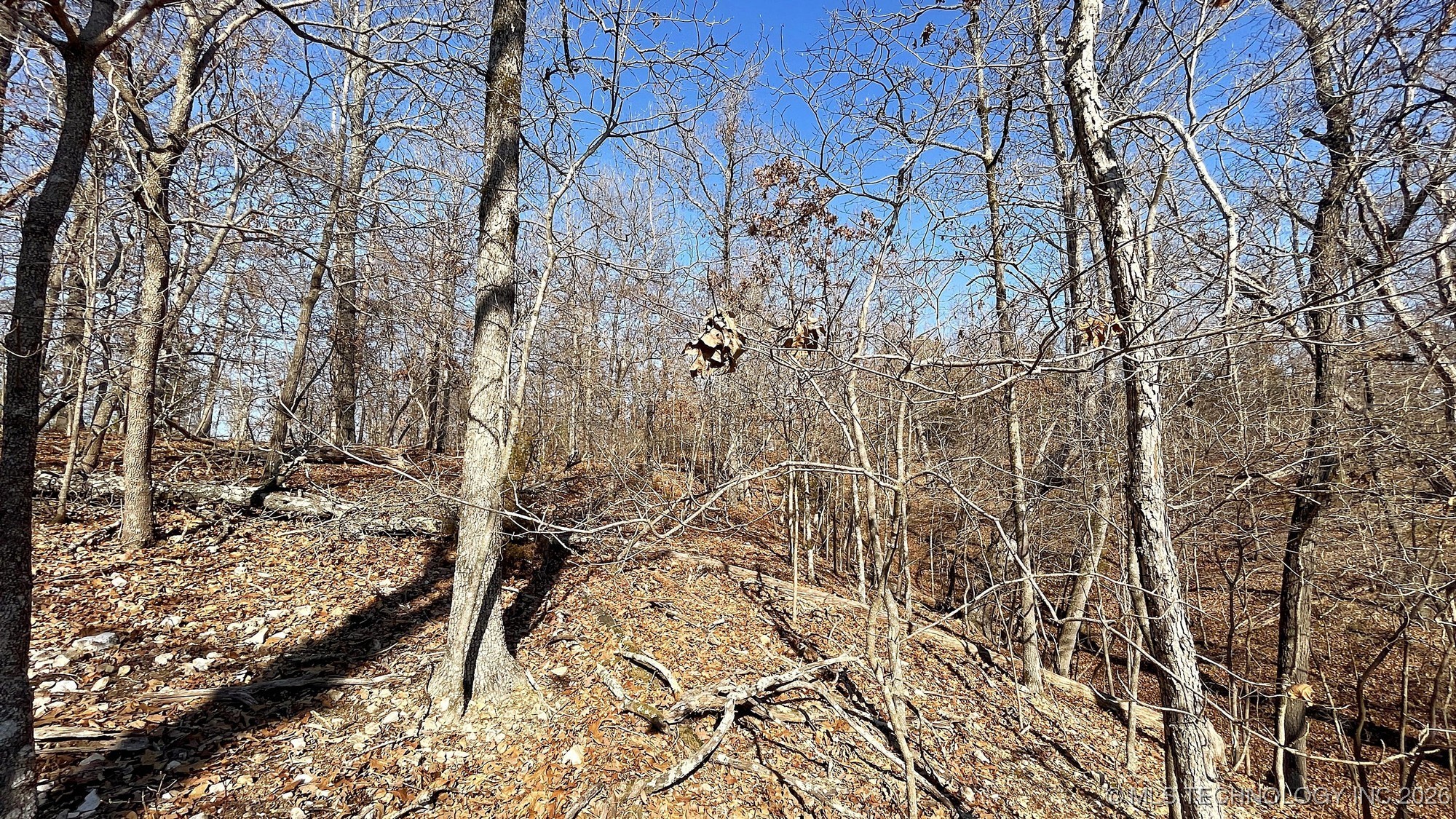 2361 Overlook Trace Property Photo 10
