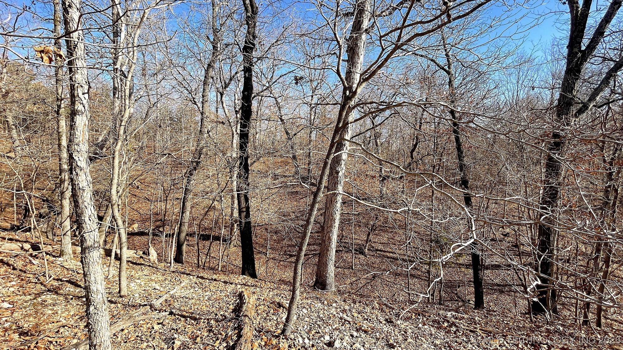 2361 Overlook Trace Property Photo 11