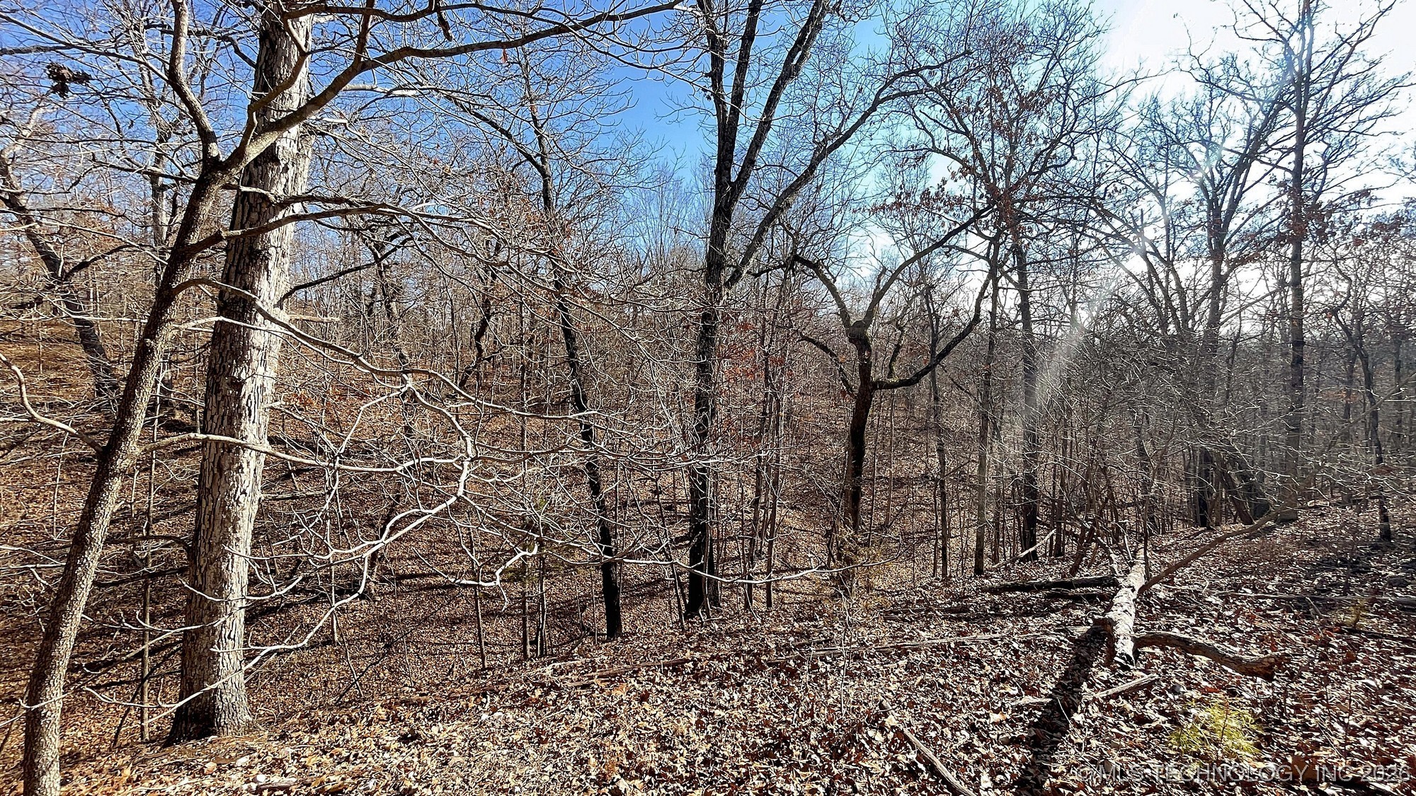 2361 Overlook Trace Property Photo 12