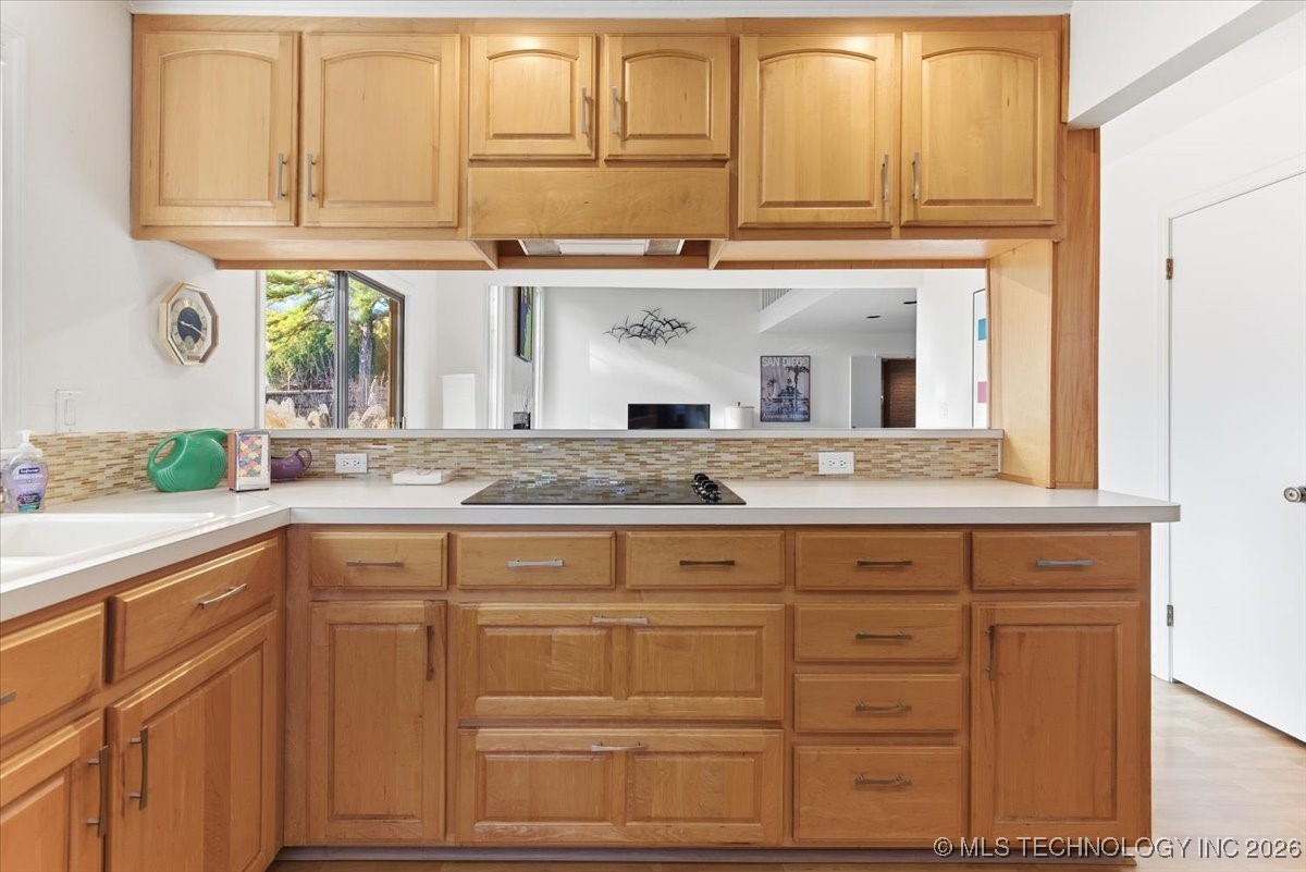 10137 S Marion Avenue Property Photo 12