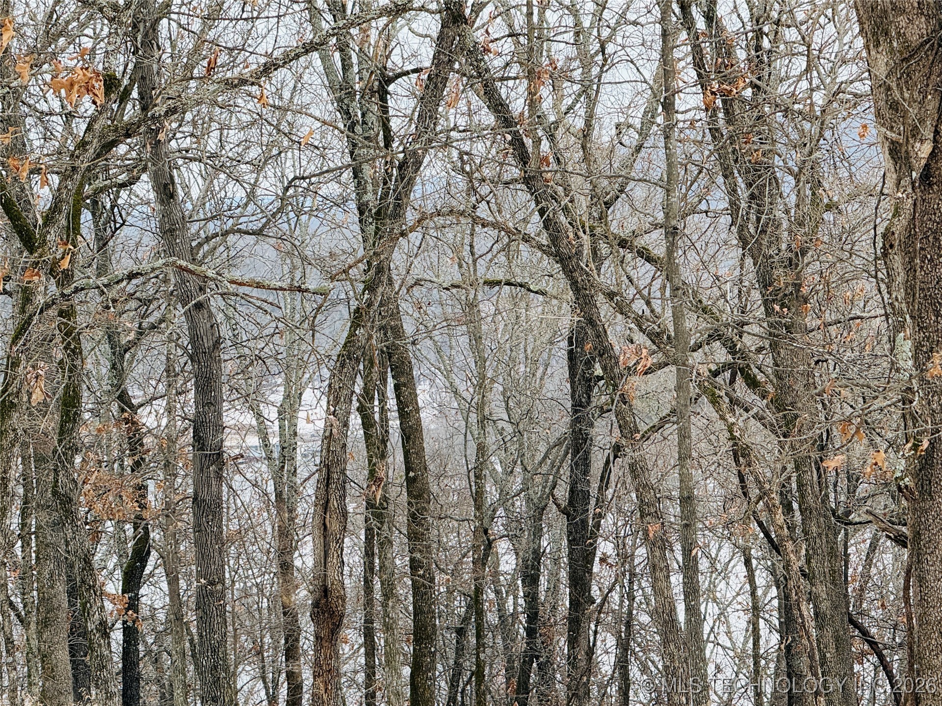 4618 W Rocky Haven Property Photo 5