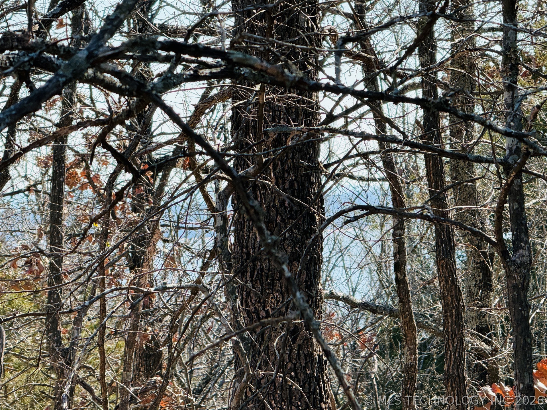 Mountain View Property Photo 1