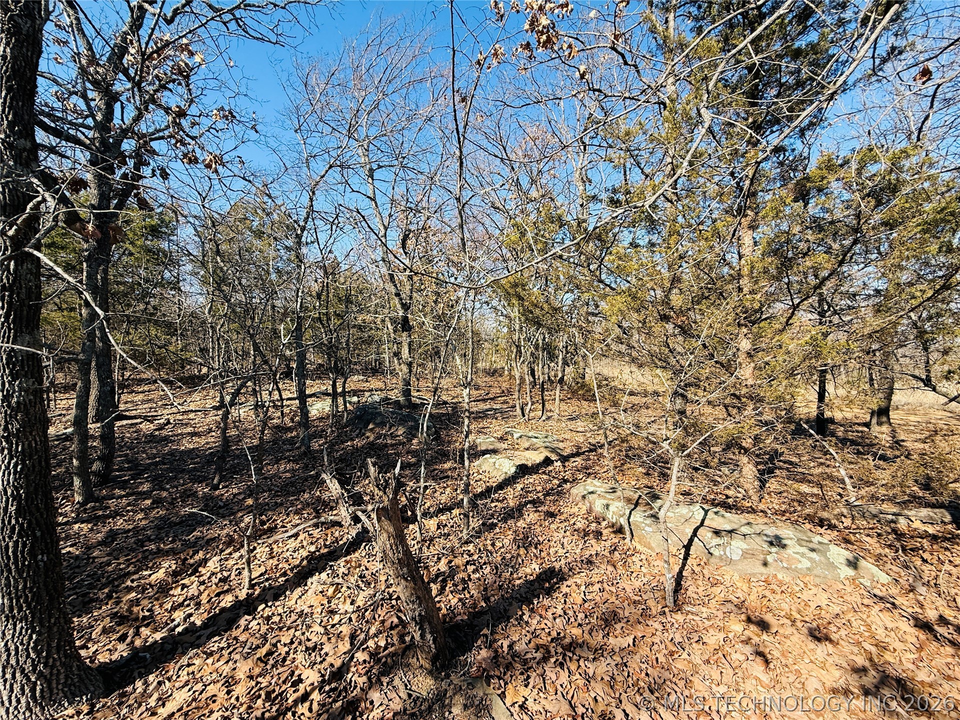 Mountain View Property Photo 2