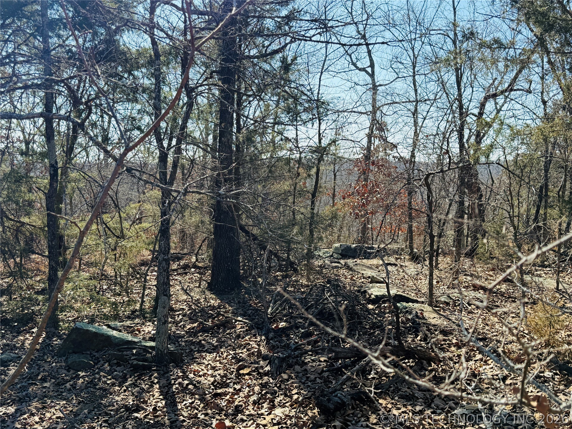 Mountain View Property Photo 3