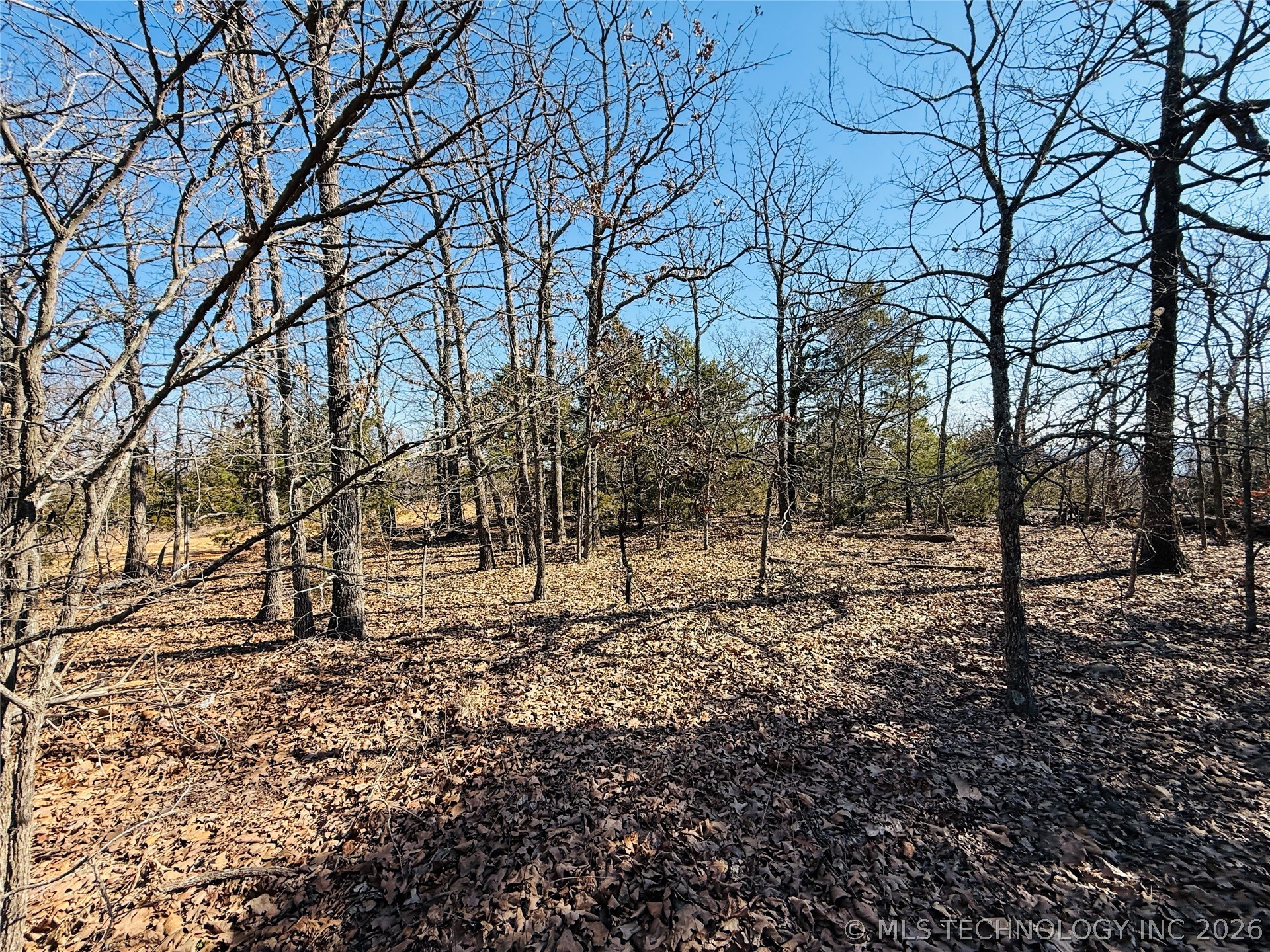 Mountain View Property Photo 4