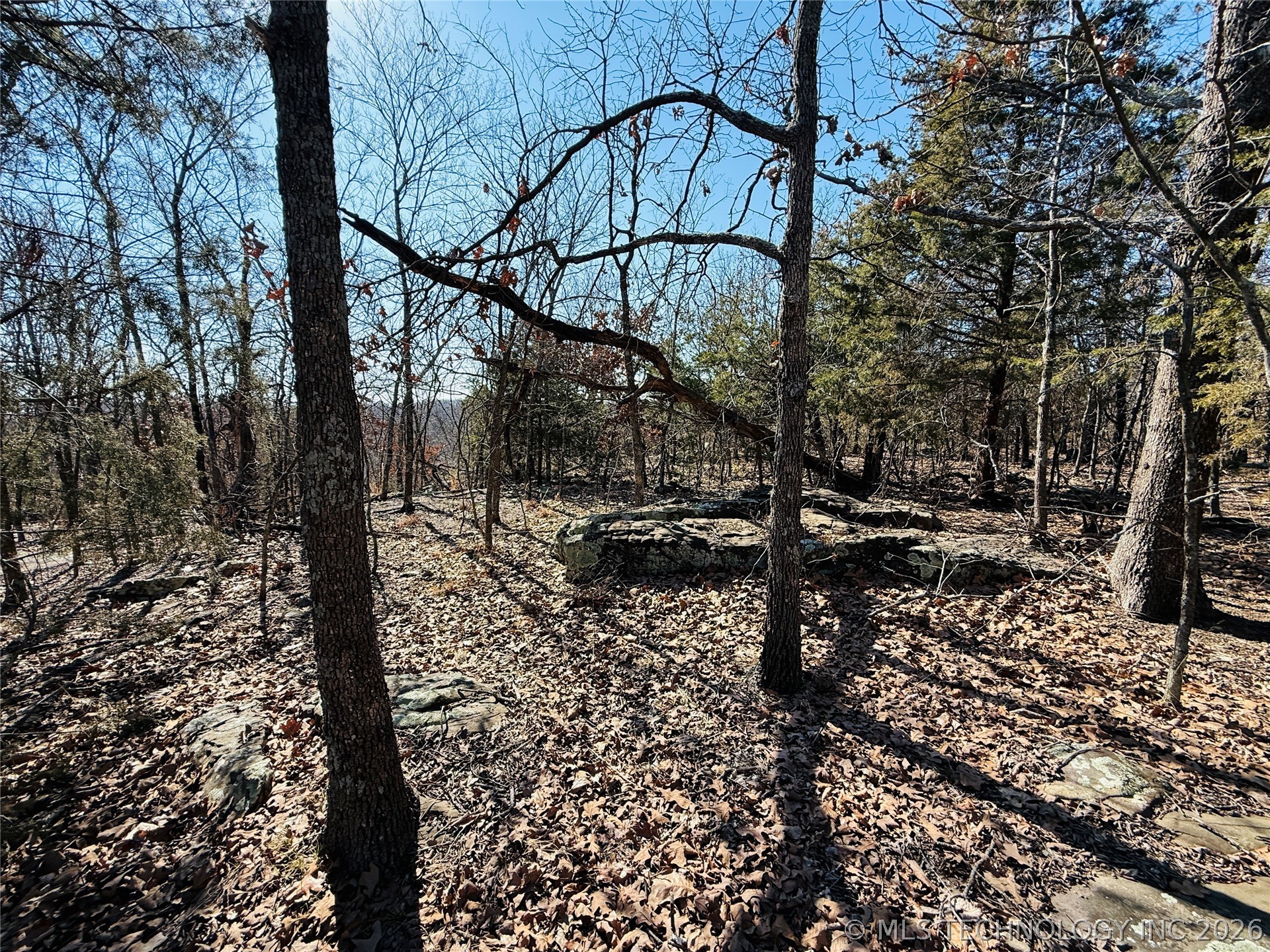 Mountain View Property Photo 5