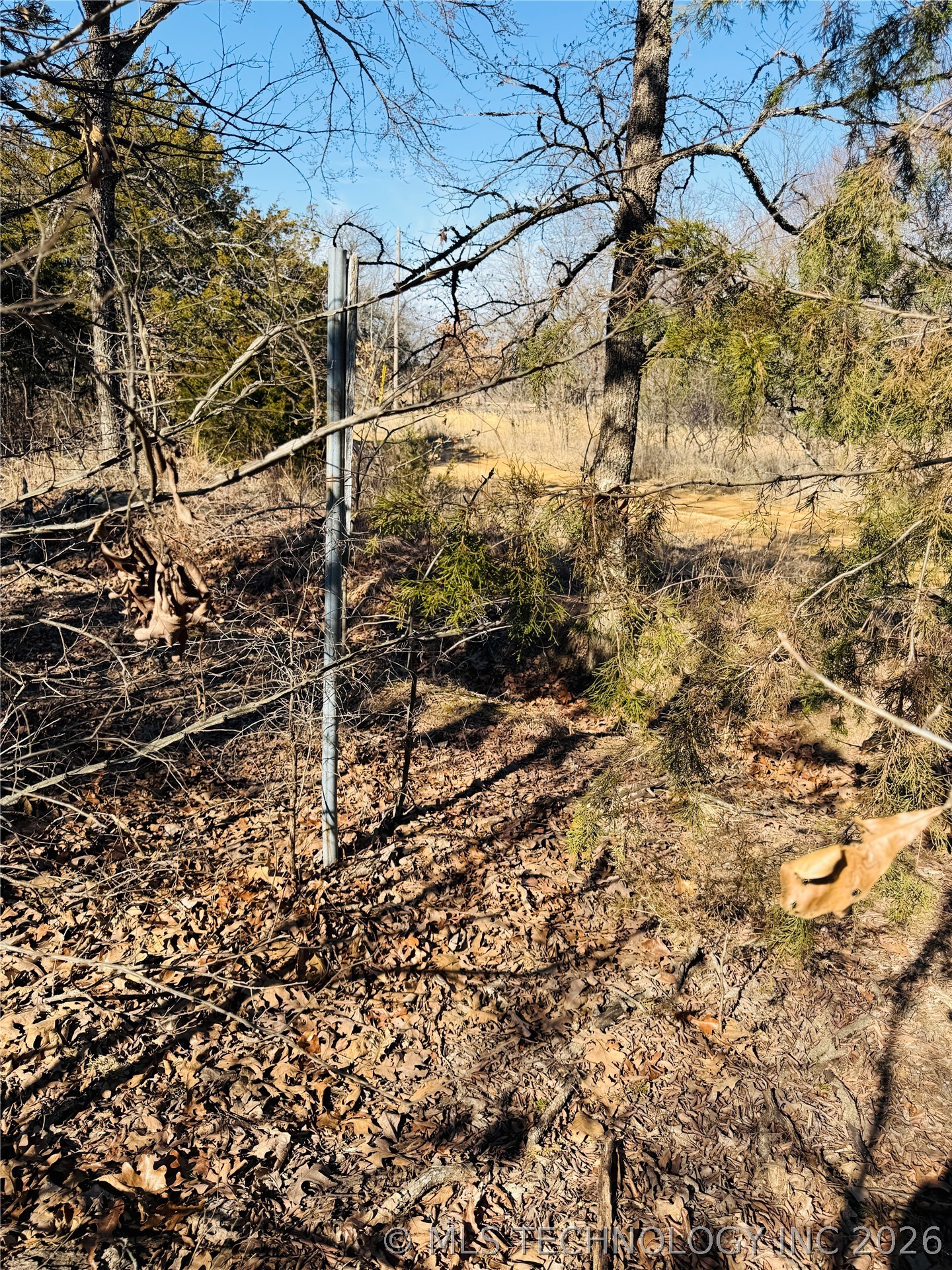 Mountain View Property Photo 7