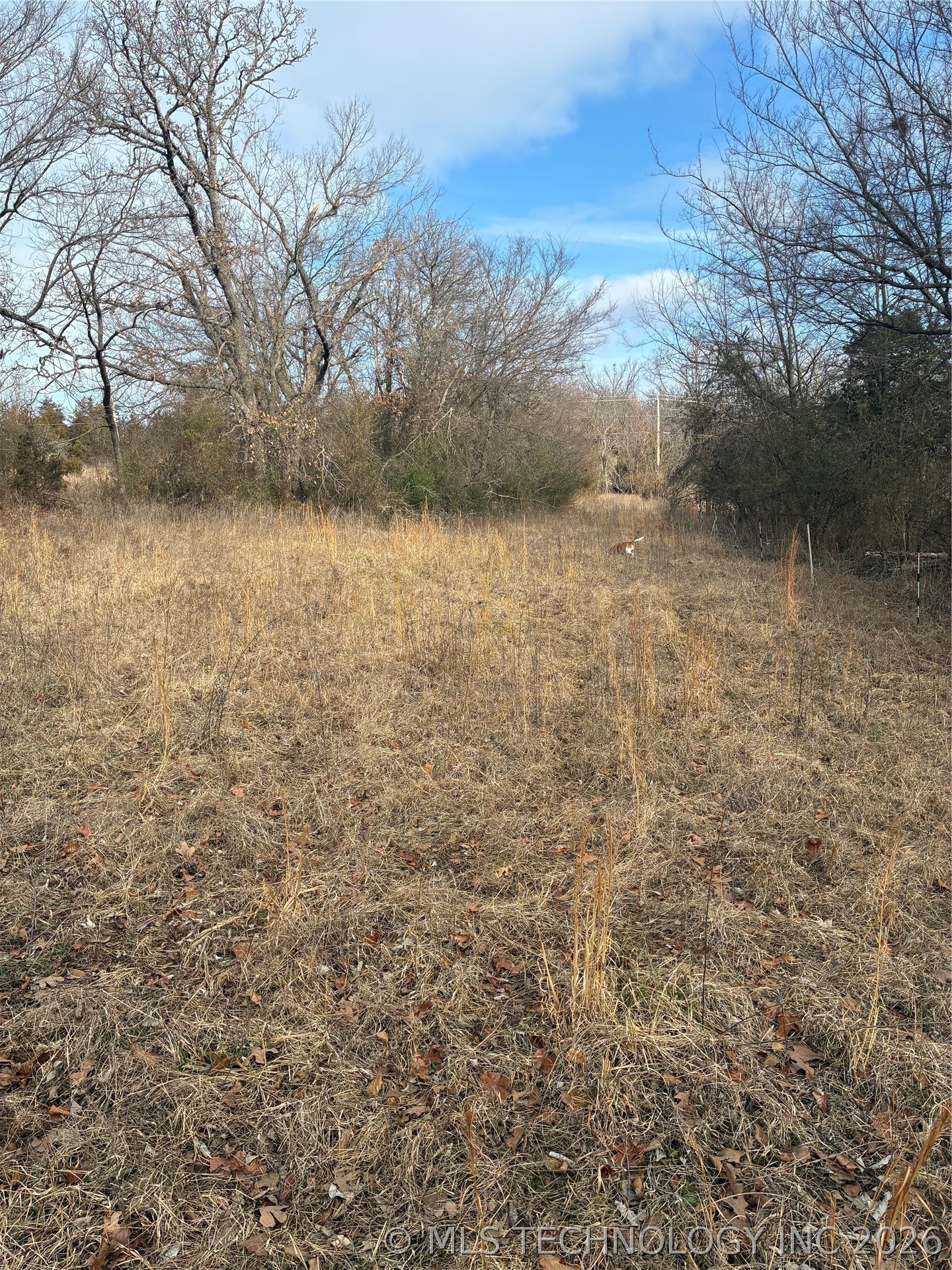 111th Street S Property Photo 6