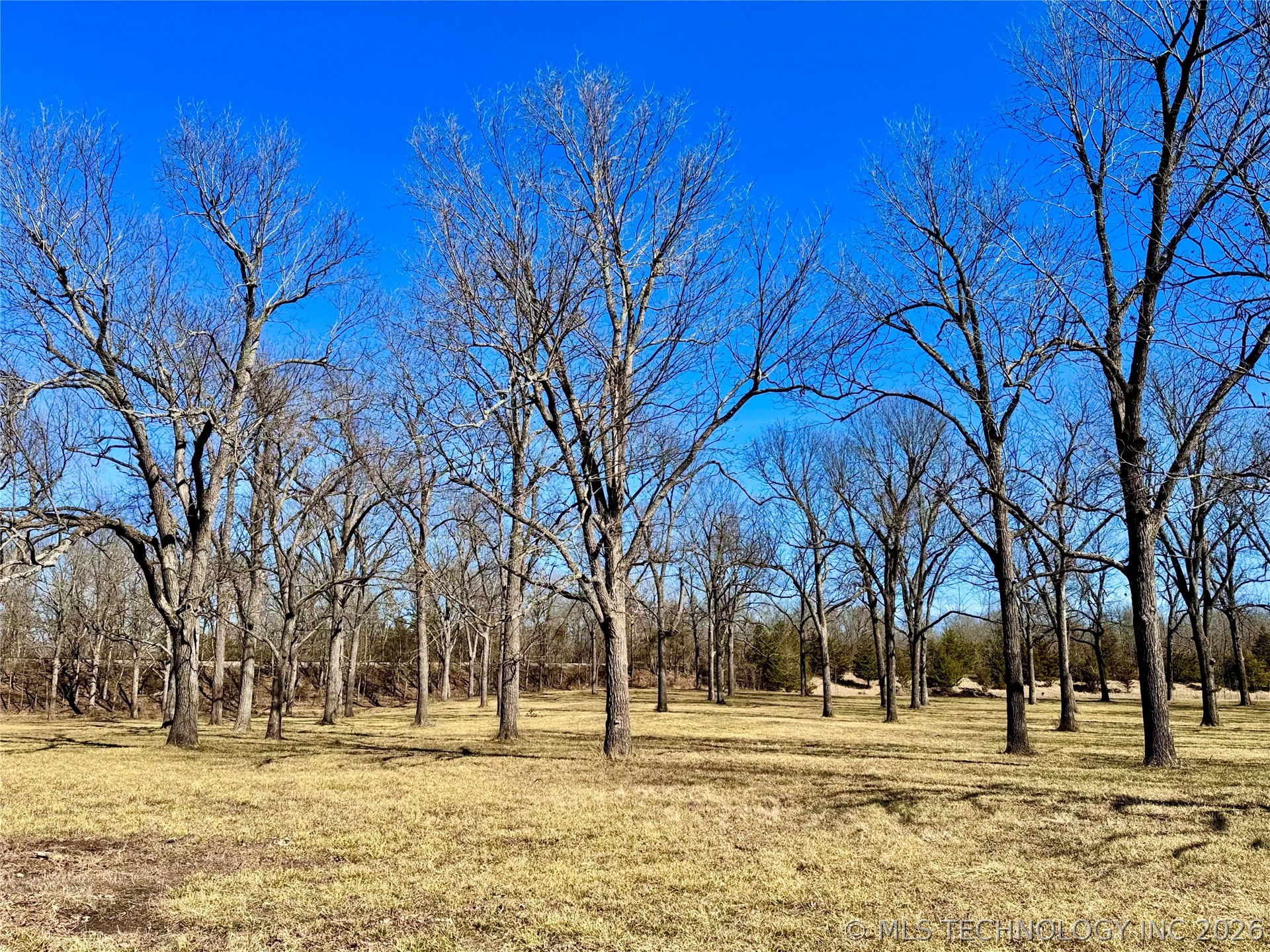 1178 N Us Hwy 70 Property Photo 30