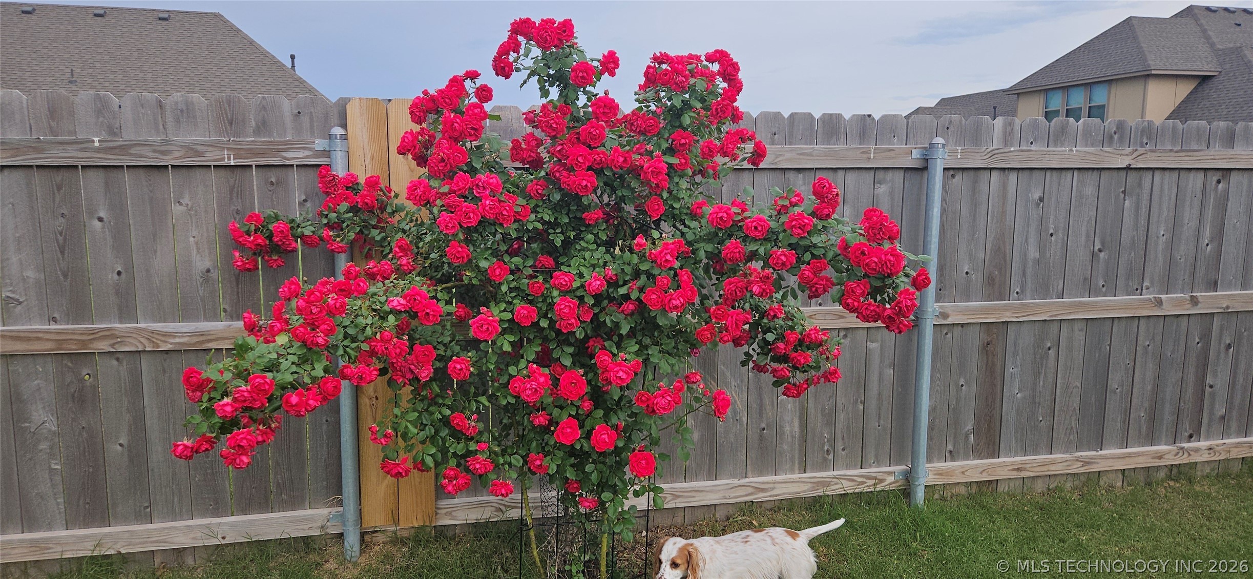 14128 N 70th East Avenue Property Photo 52