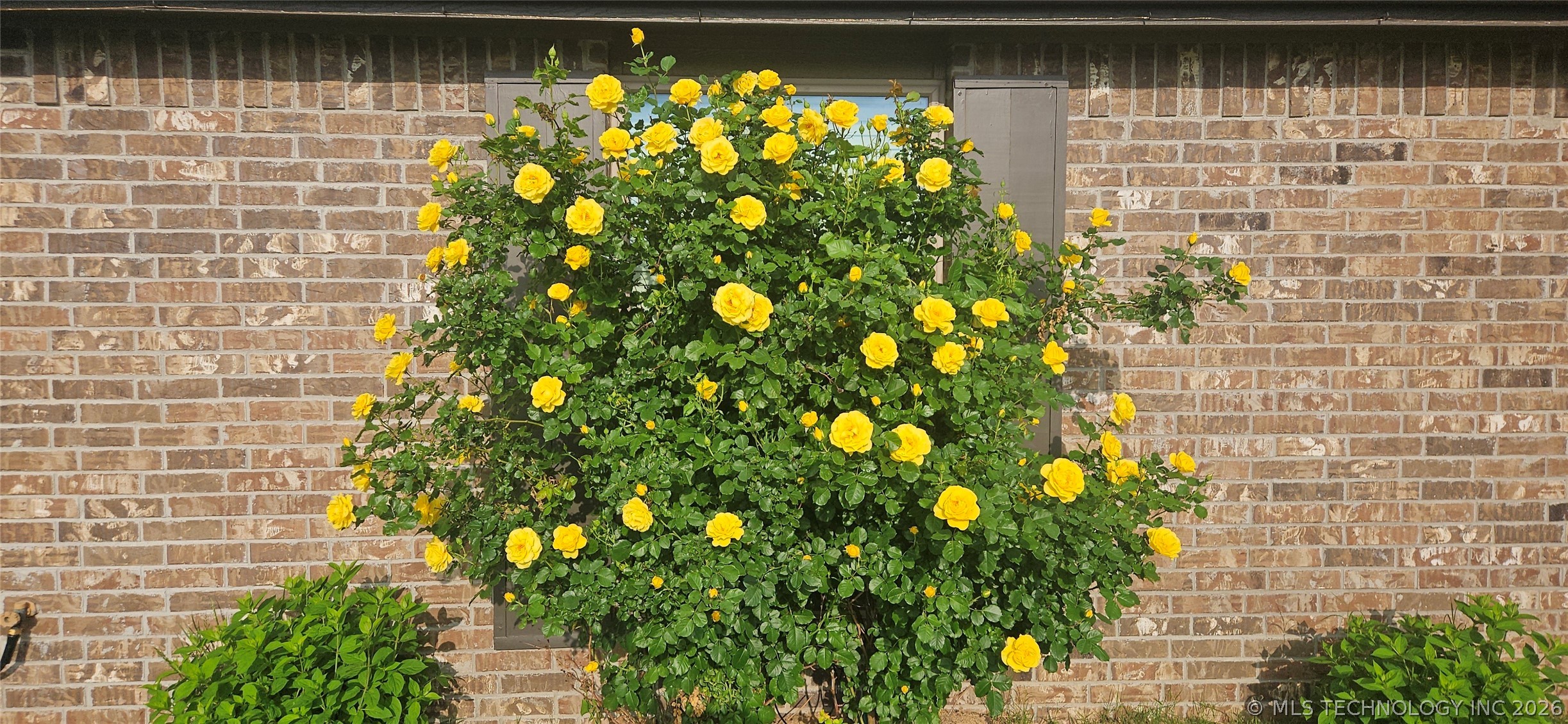 14128 N 70th East Avenue Property Photo 58