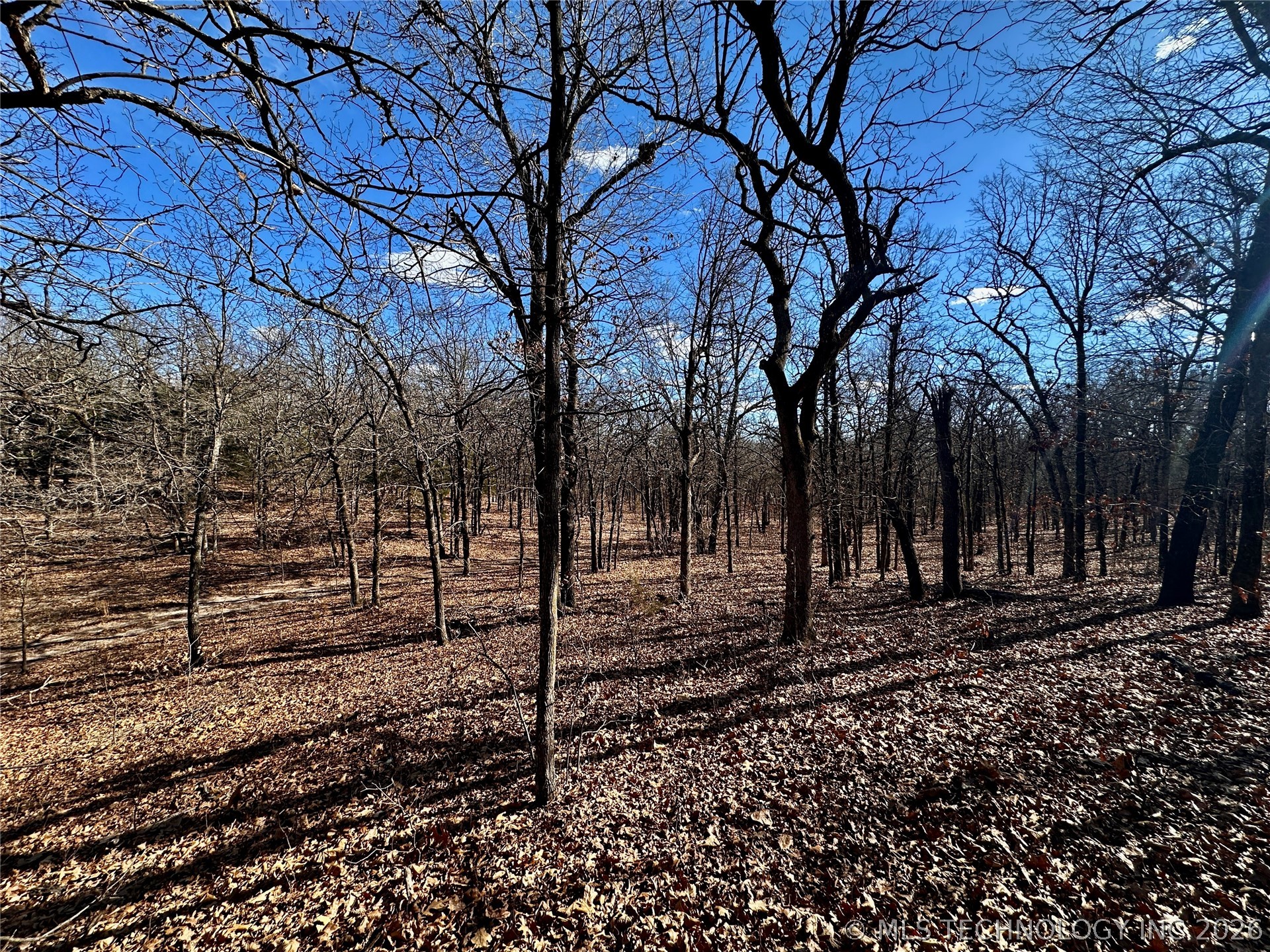 42900 W 11th Street Property Photo 39