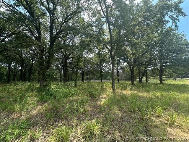 Alberta Creek Property Photo 6