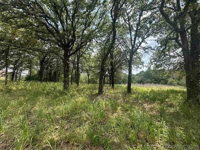 Alberta Creek Property Photo 7