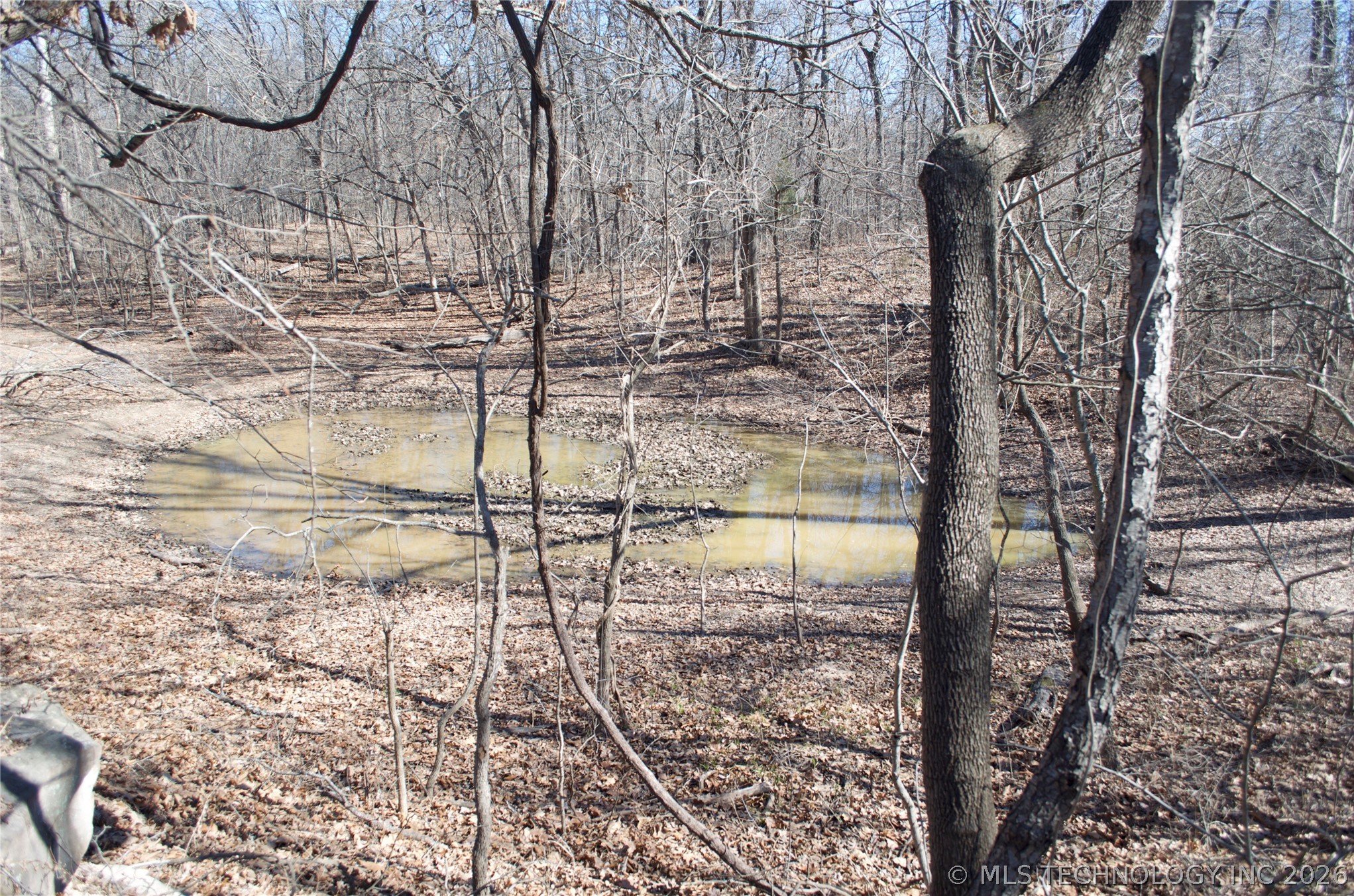 30985 S 385th West Avenue Property Photo 6