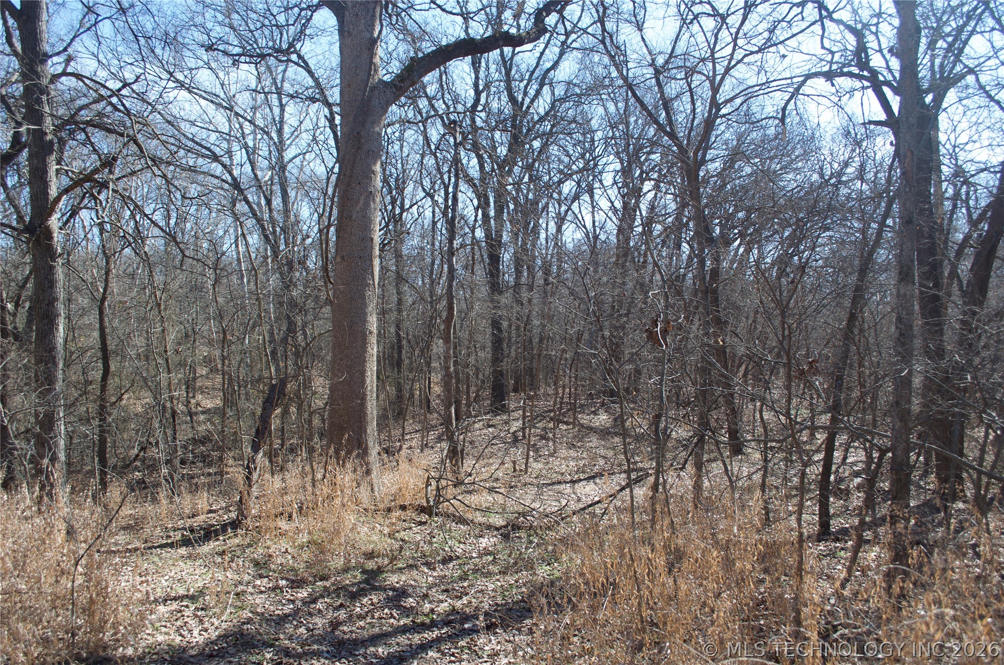 30985 S 385th West Avenue Property Photo 7