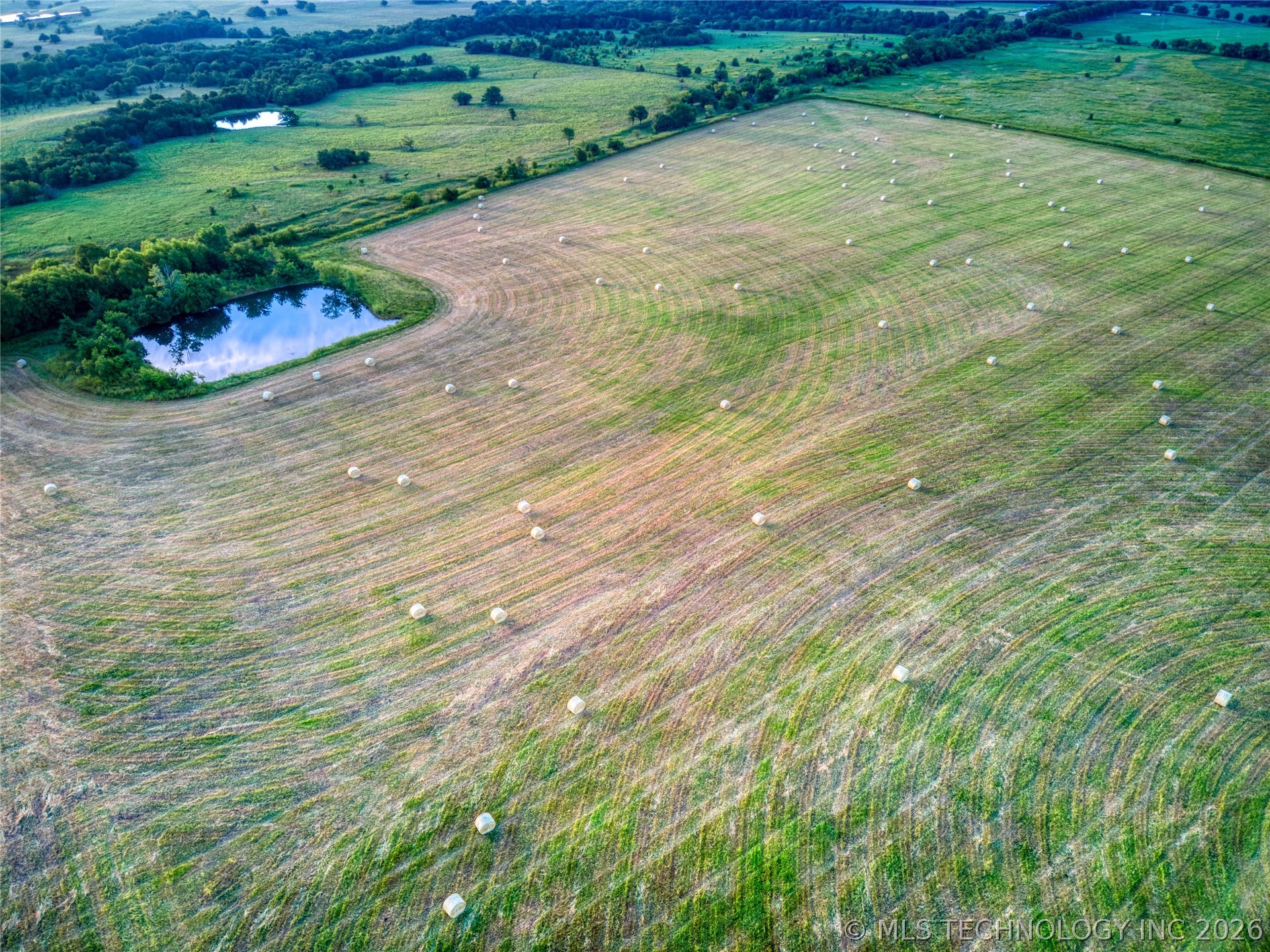 Highway 48 Property Photo 7