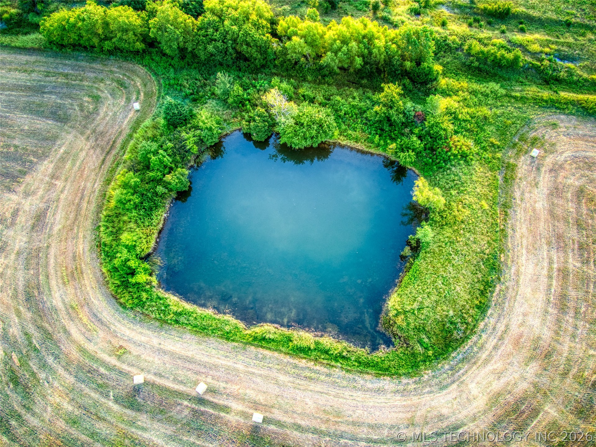 Highway 48 Property Photo 12