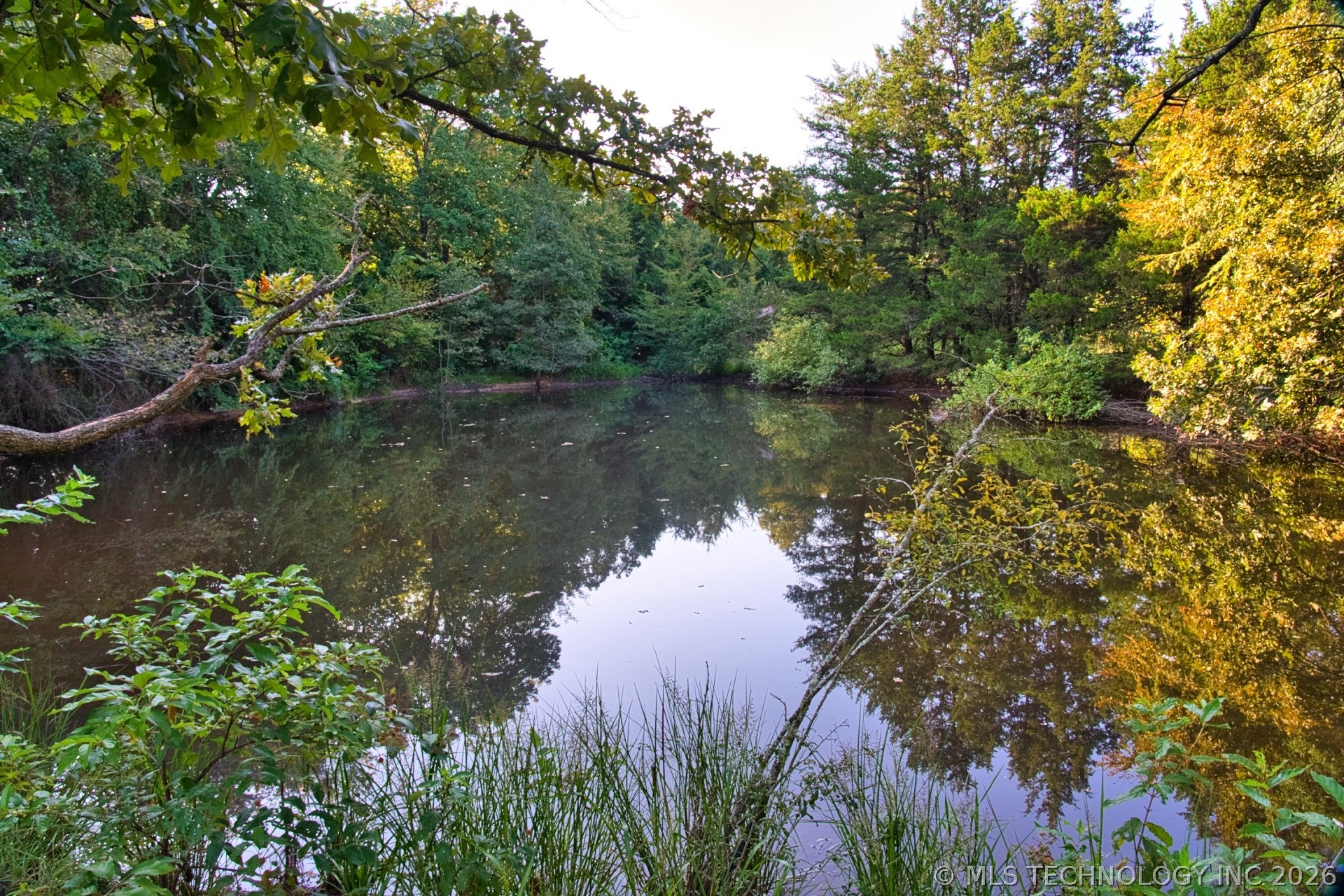 2604284 Property Photo 1