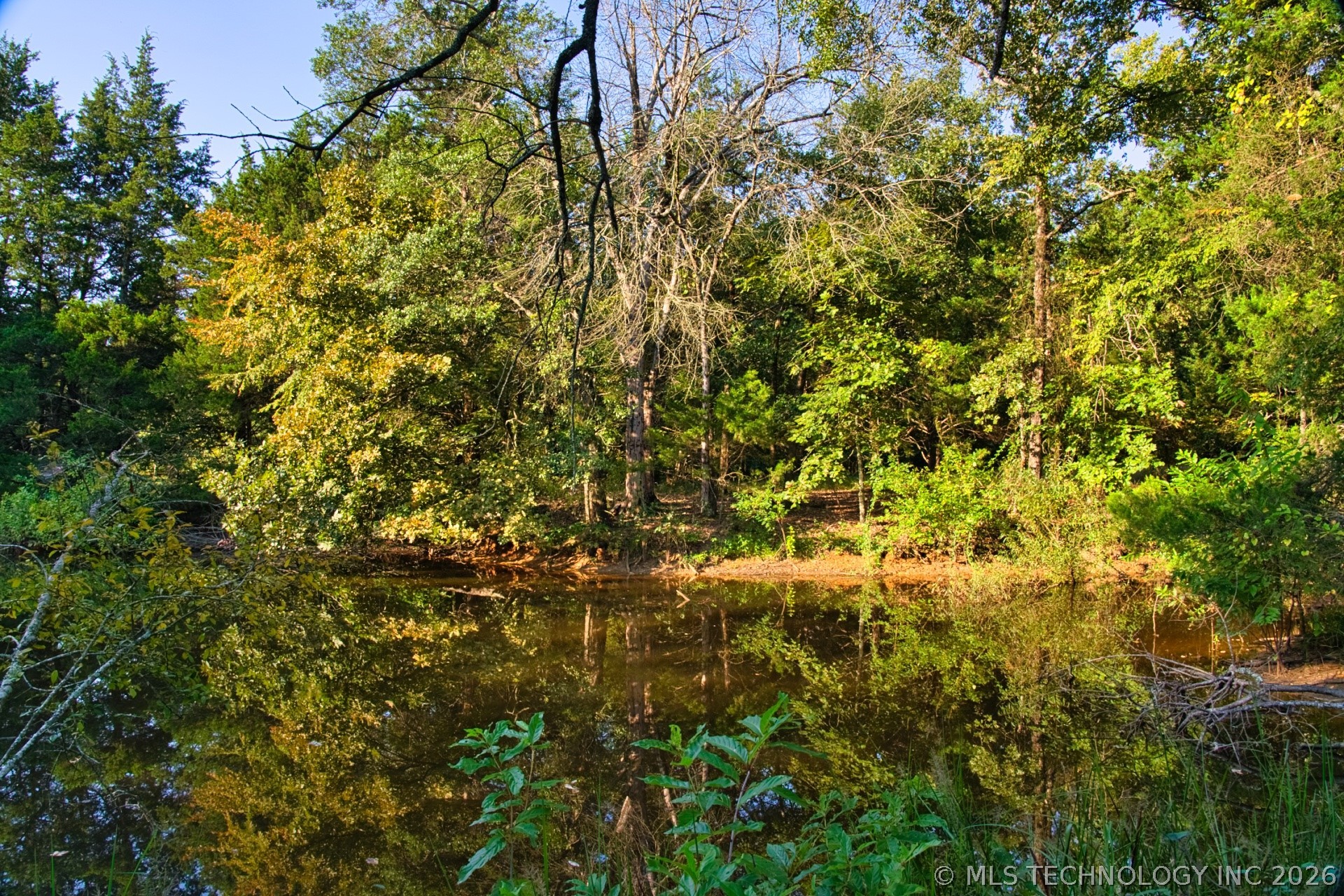 2604284 Property Photo 3