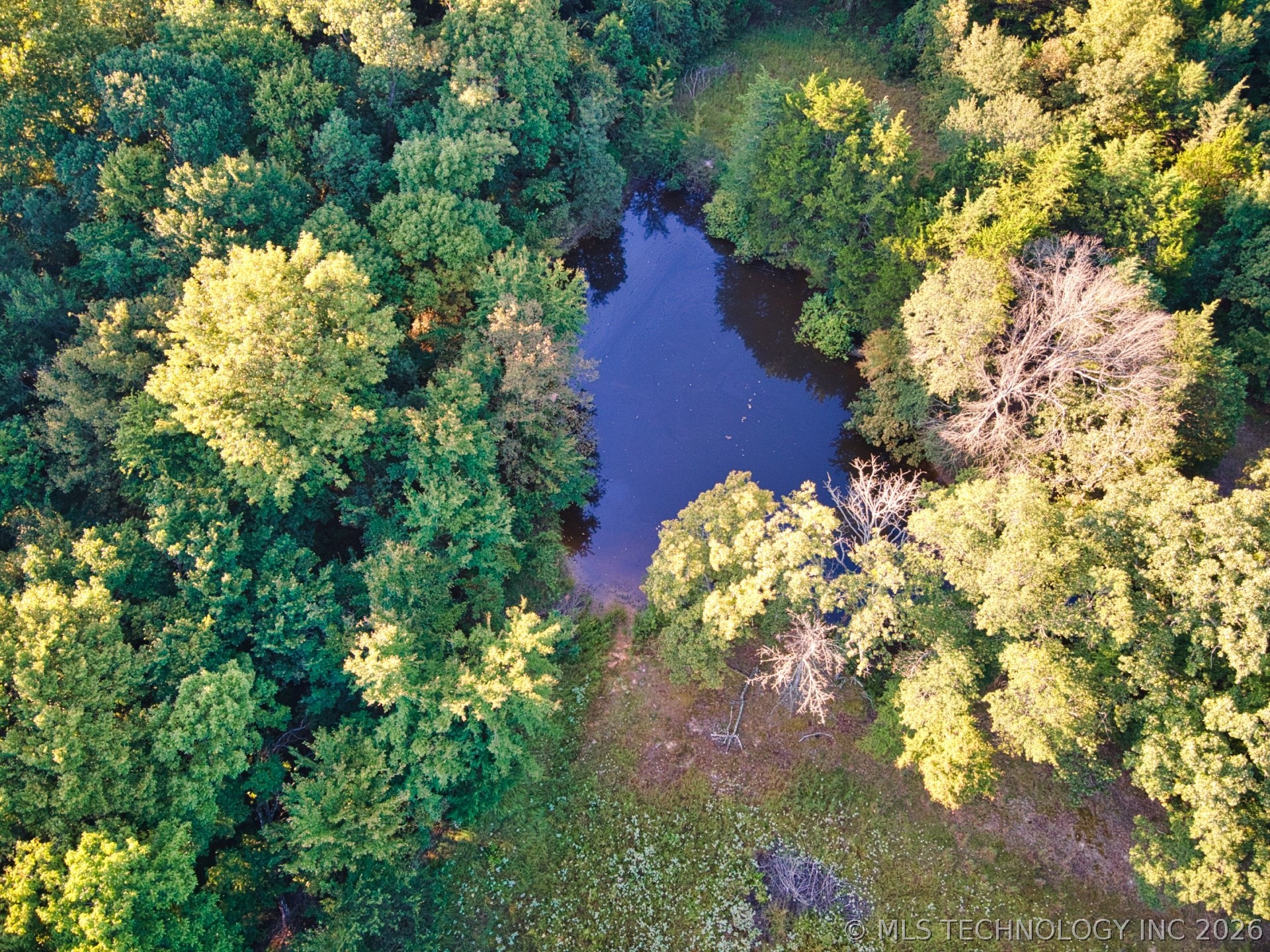 2604284 Property Photo 4