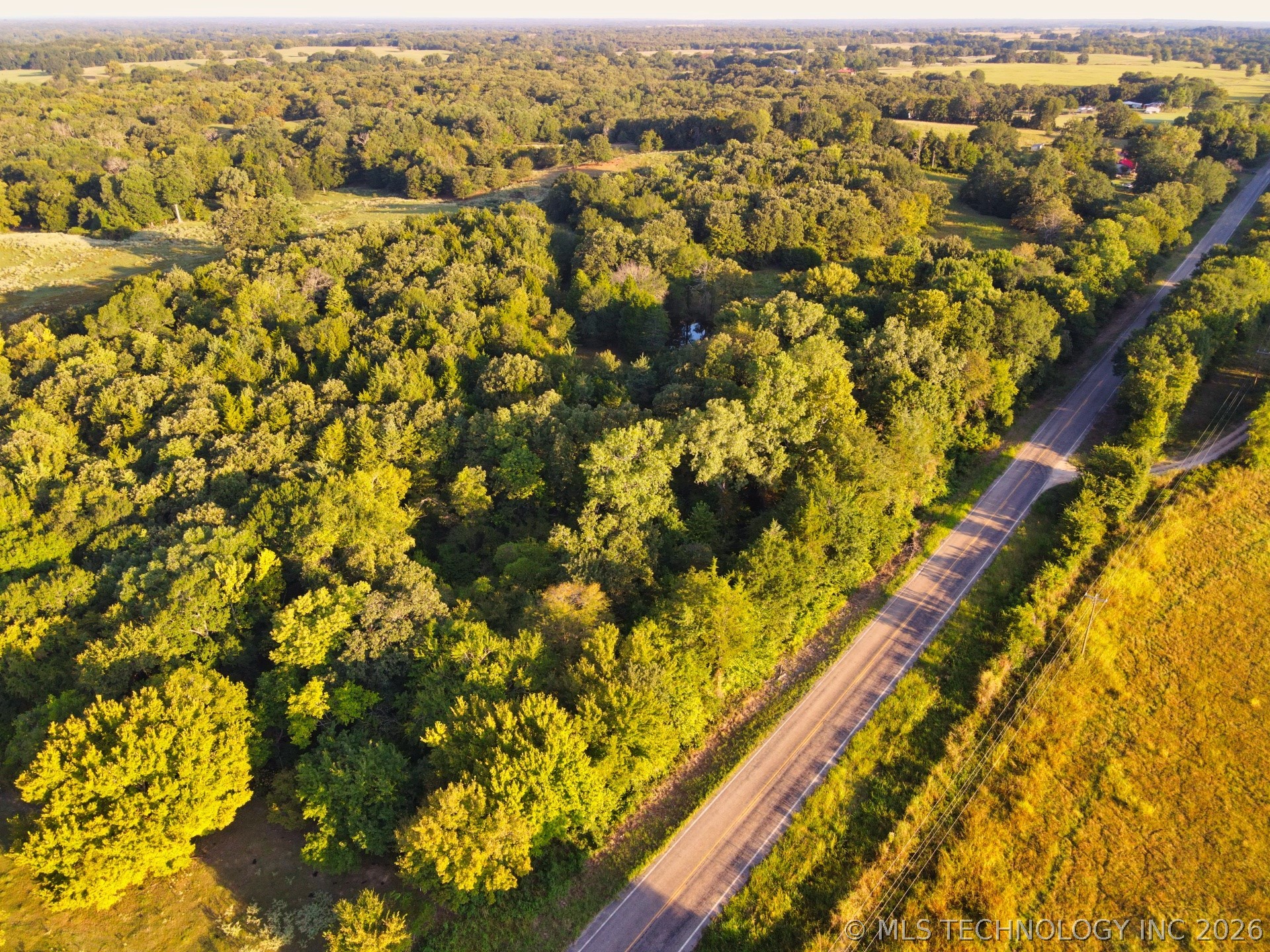 2604284 Property Photo 5