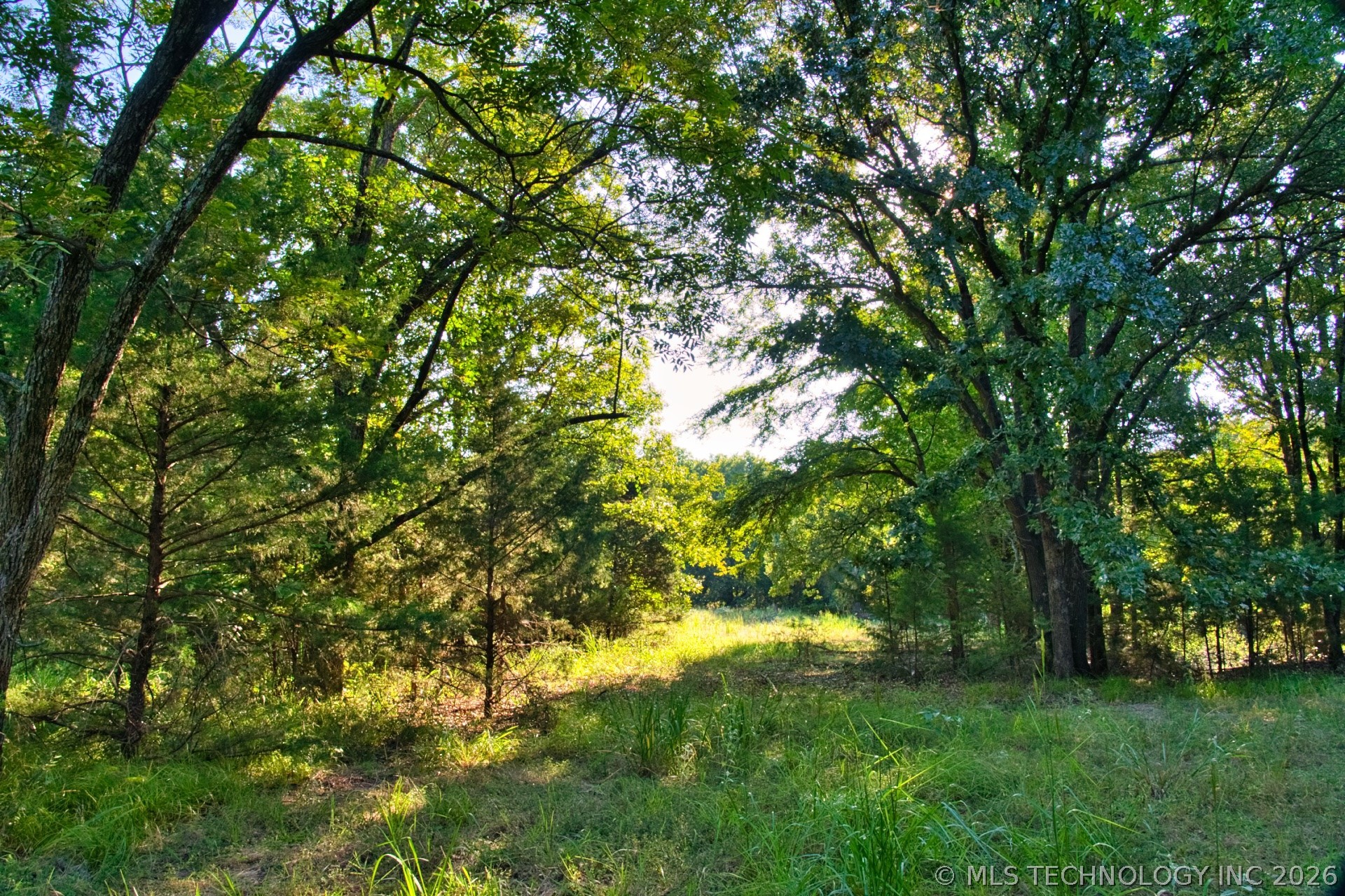 2604284 Property Photo 6