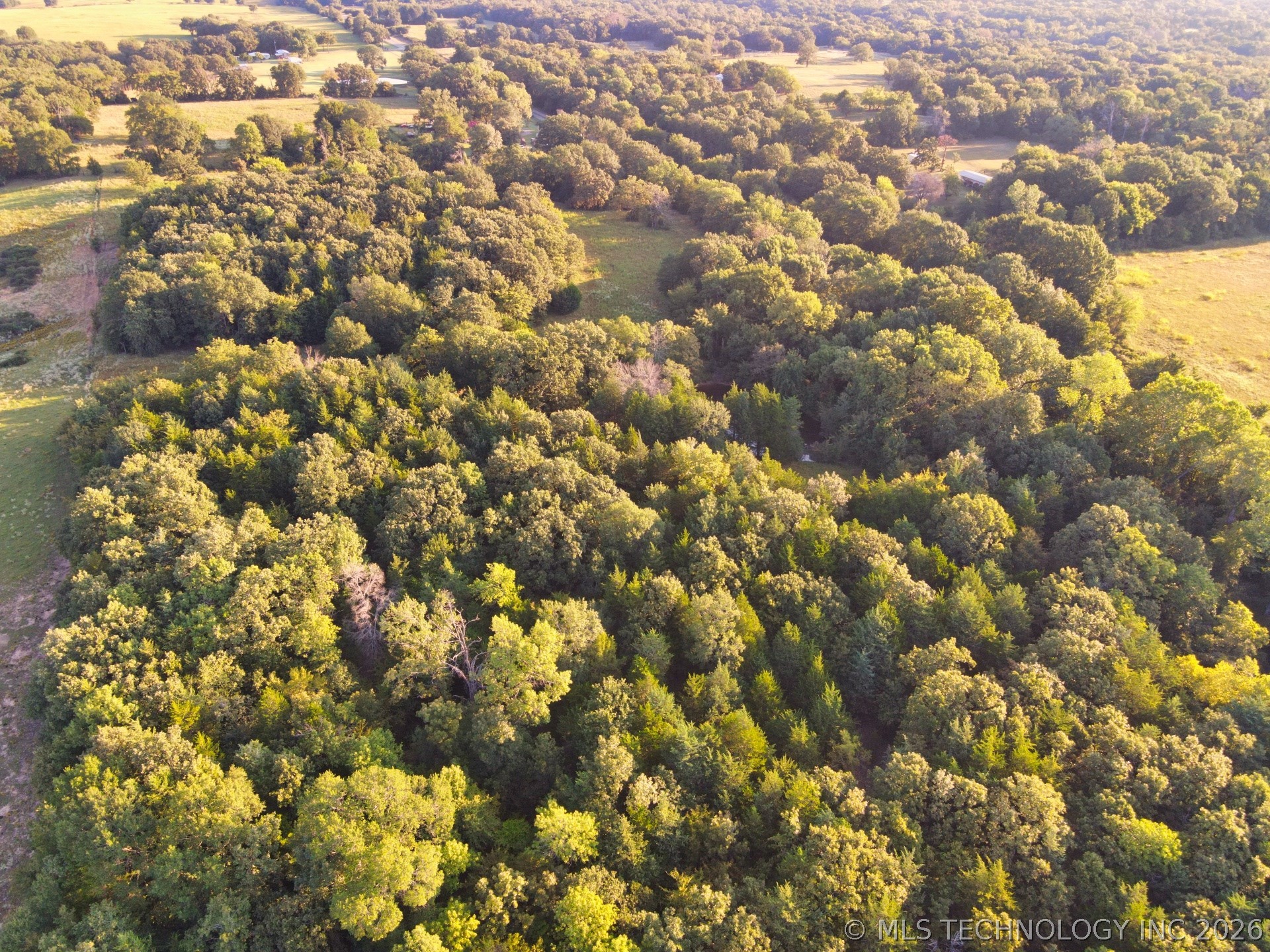 2604284 Property Photo 7