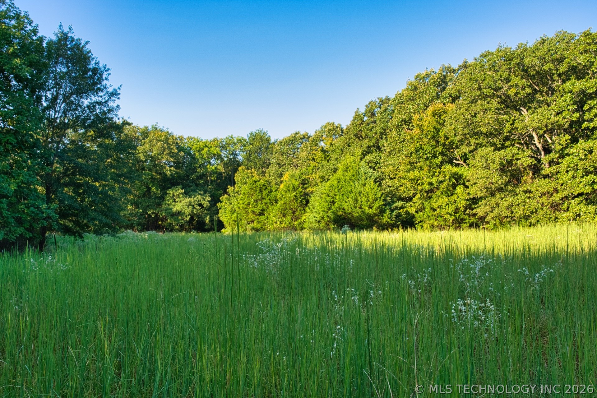 2604284 Property Photo 8