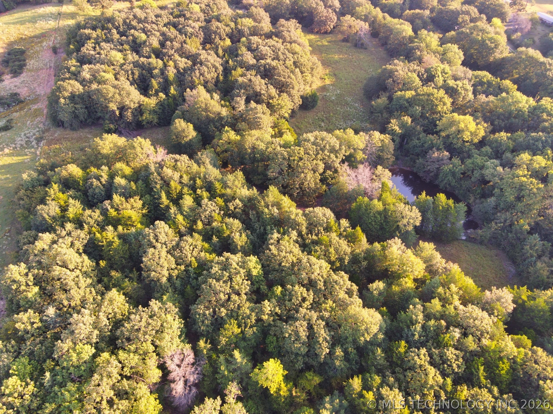 2604284 Property Photo 9