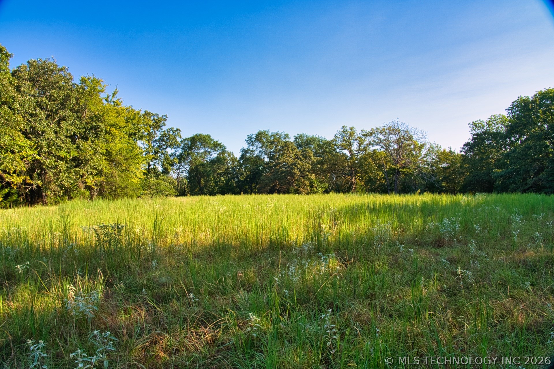 2604284 Property Photo 11