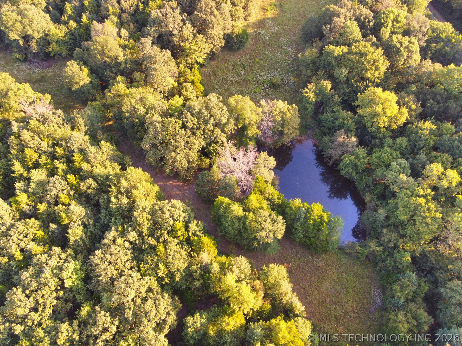 2604284 Property Photo 12