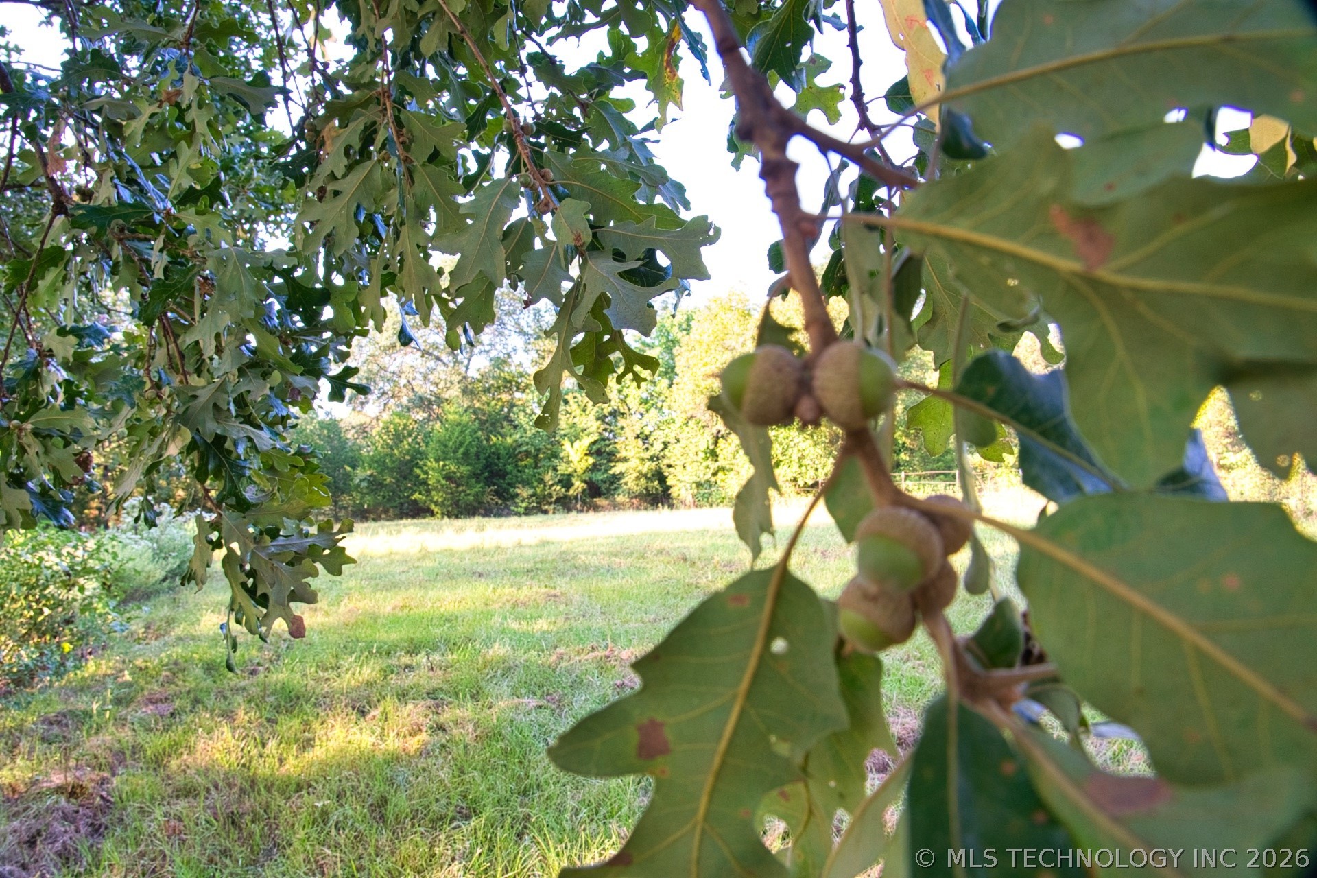 2604284 Property Photo 14