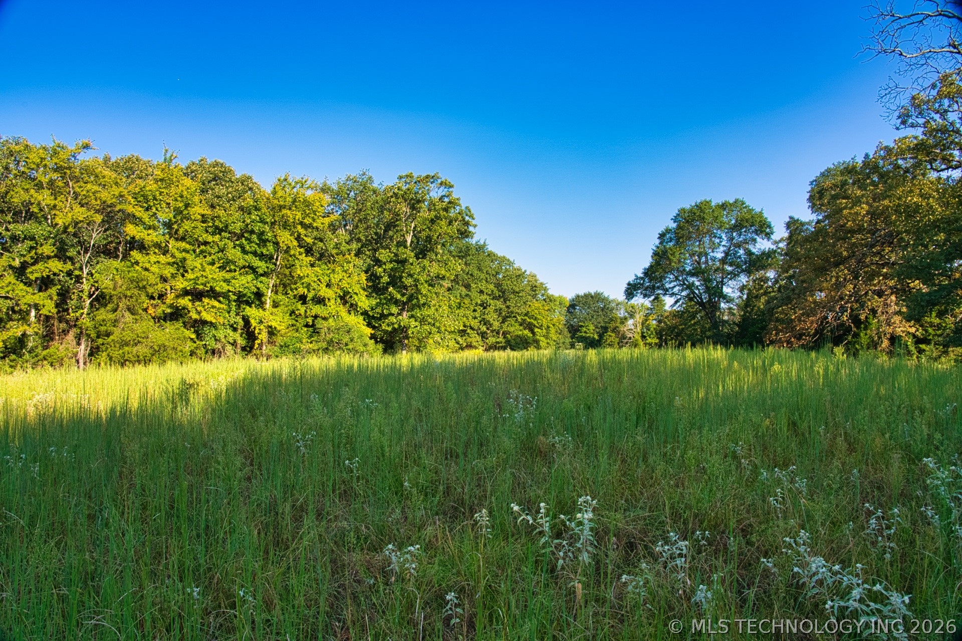 2604284 Property Photo 15