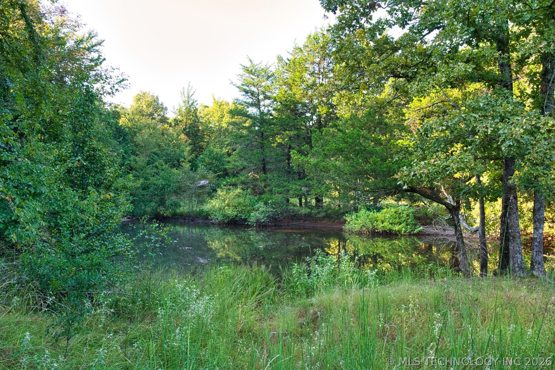 2604284 Property Photo 16