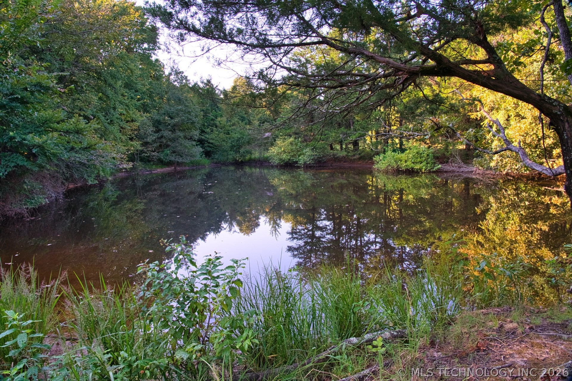 2604284 Property Photo 19