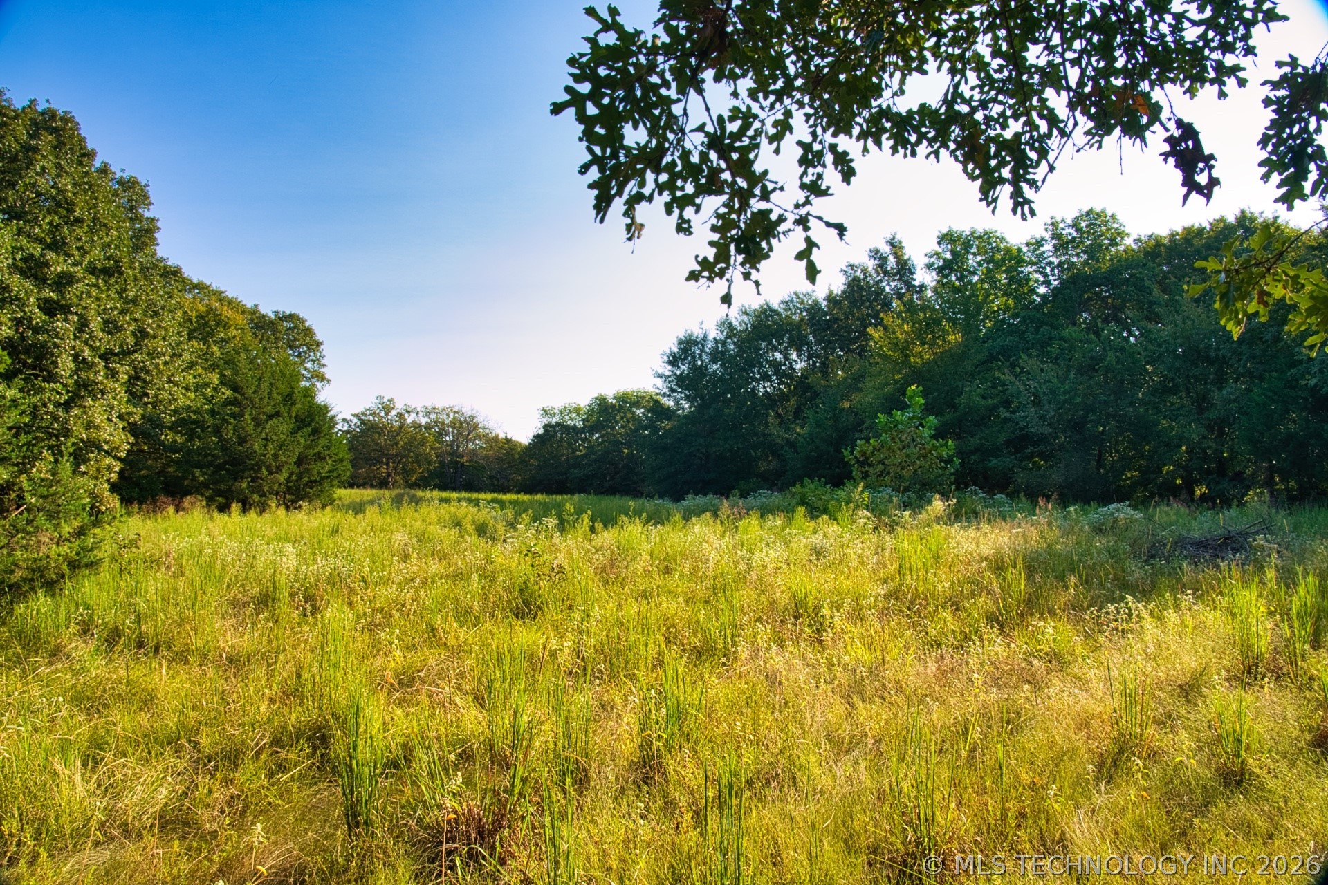 2604284 Property Photo 20