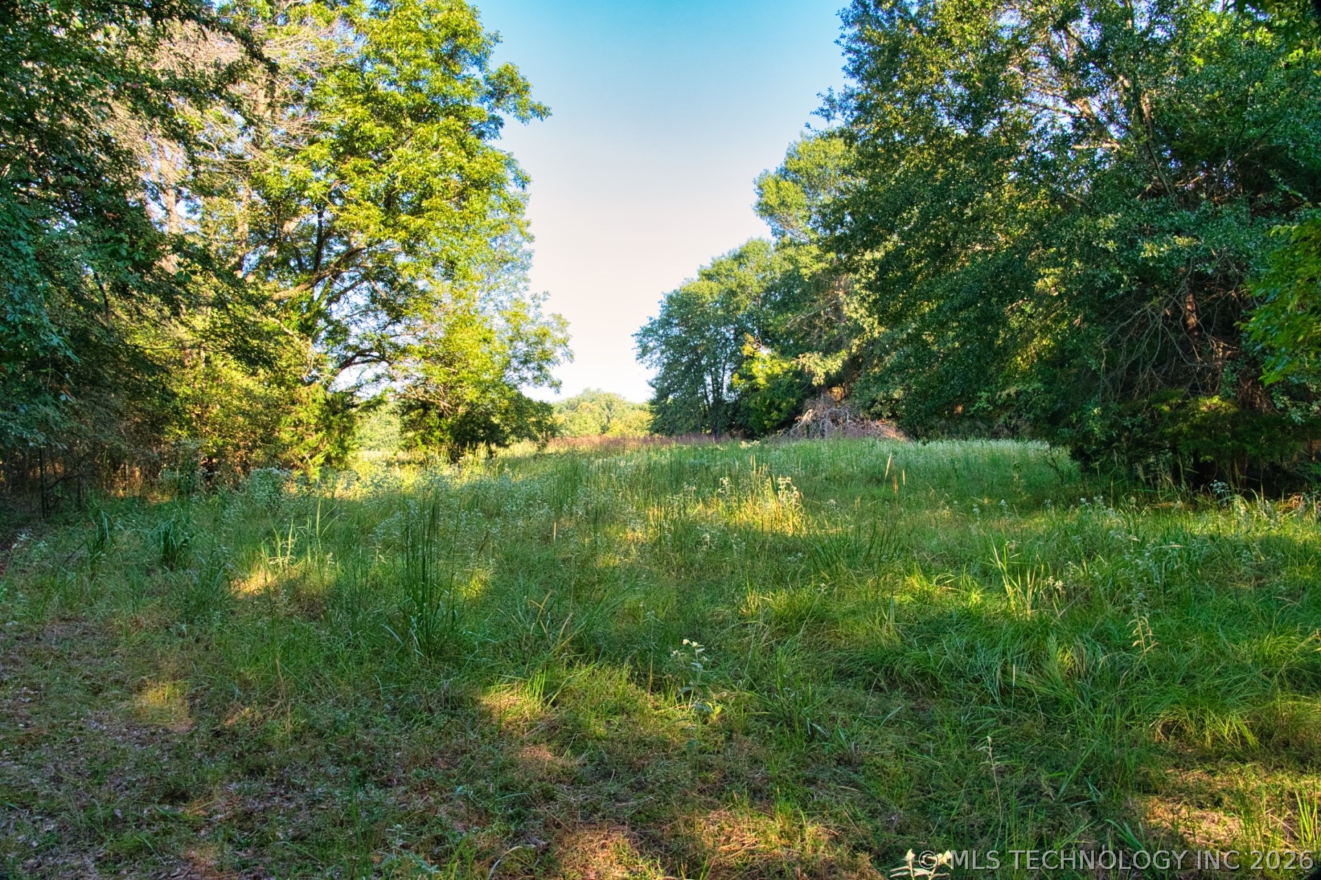 2604284 Property Photo 21