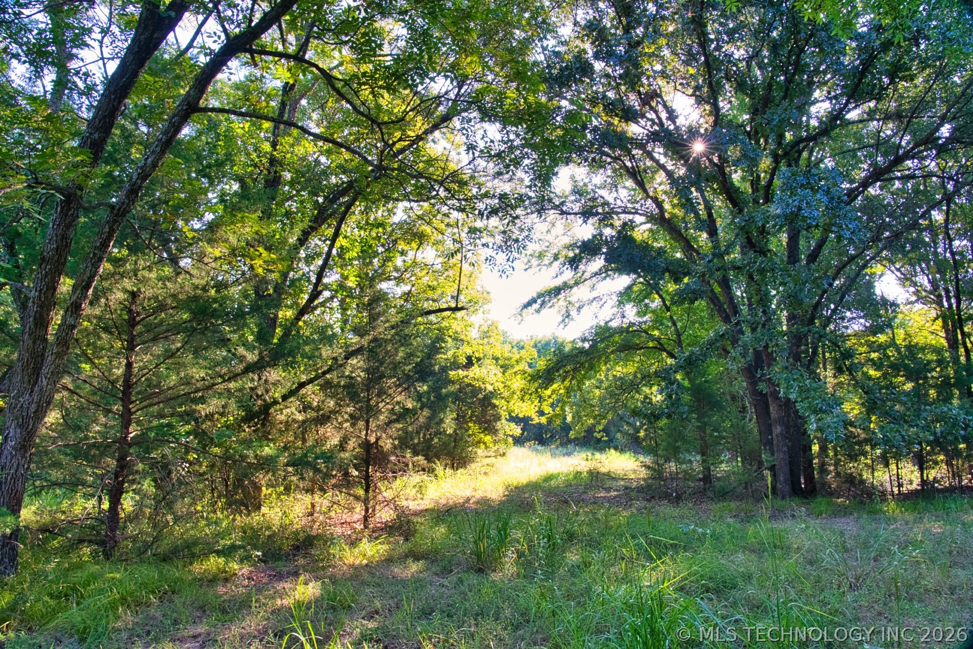 2604284 Property Photo 22