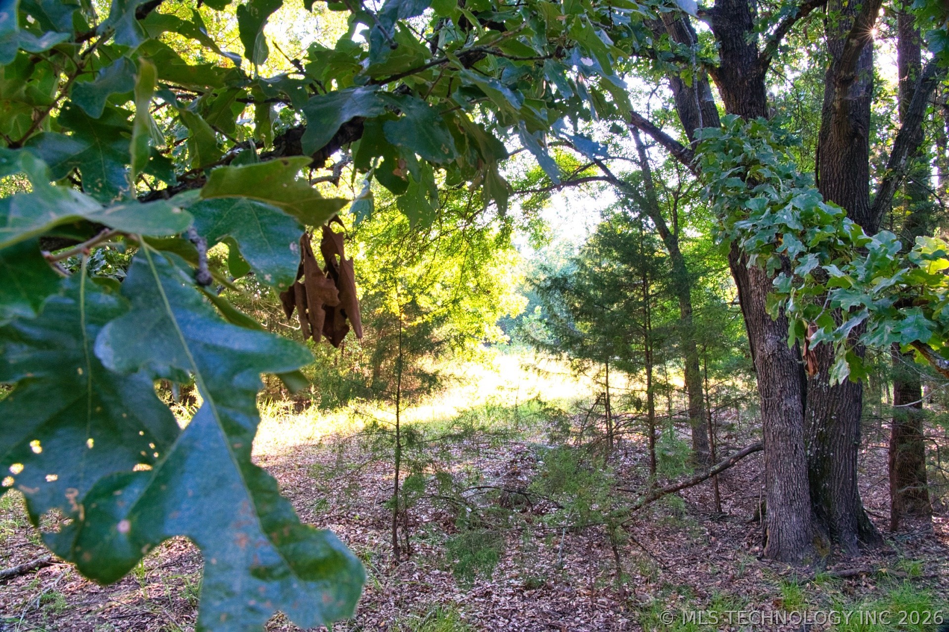 2604284 Property Photo 23