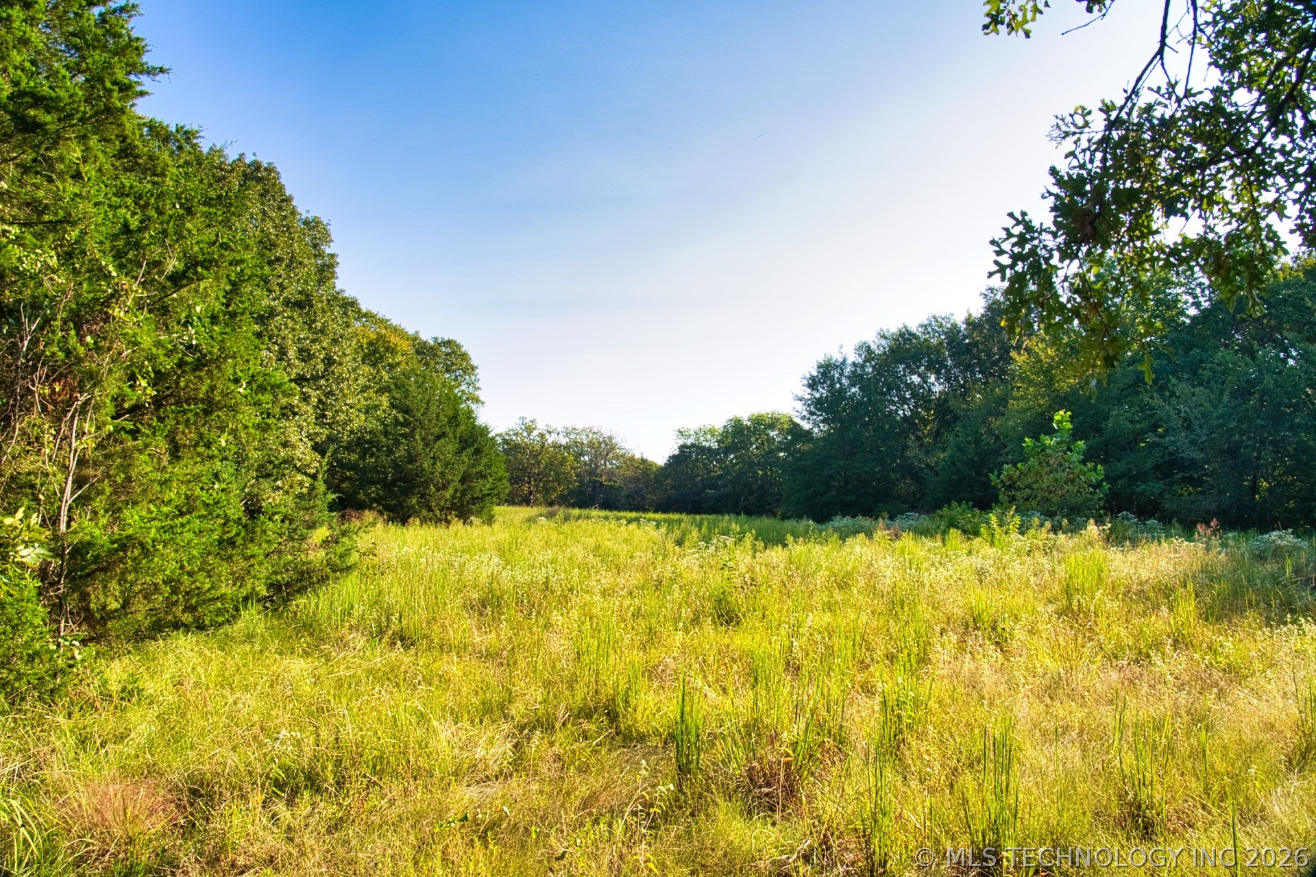 2604284 Property Photo 24