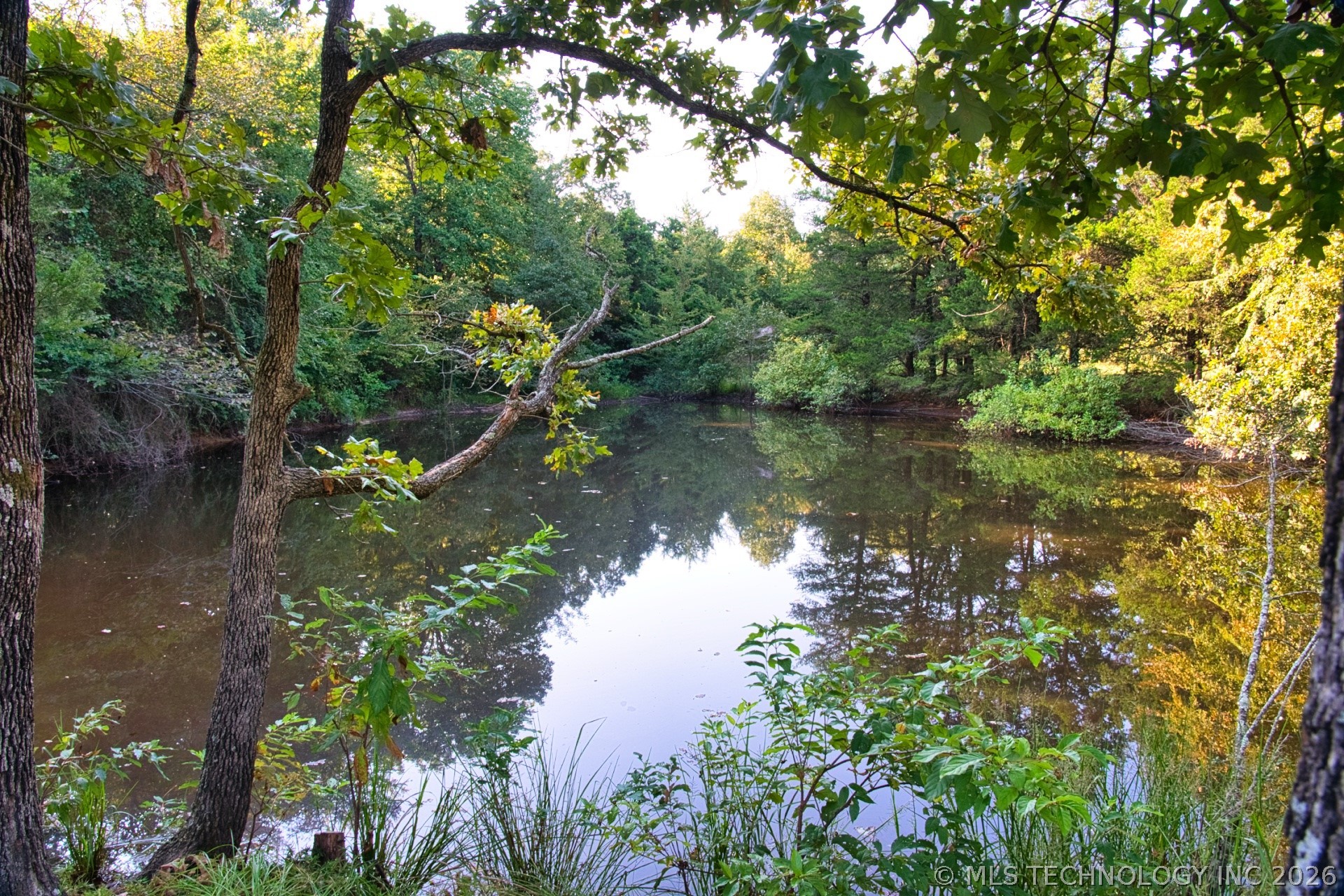 2604284 Property Photo 25