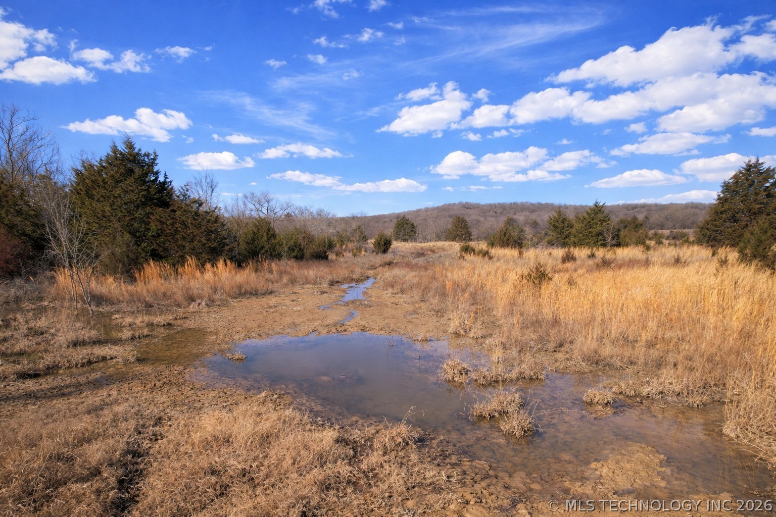 0001 County Road 3740 Property Photo 3