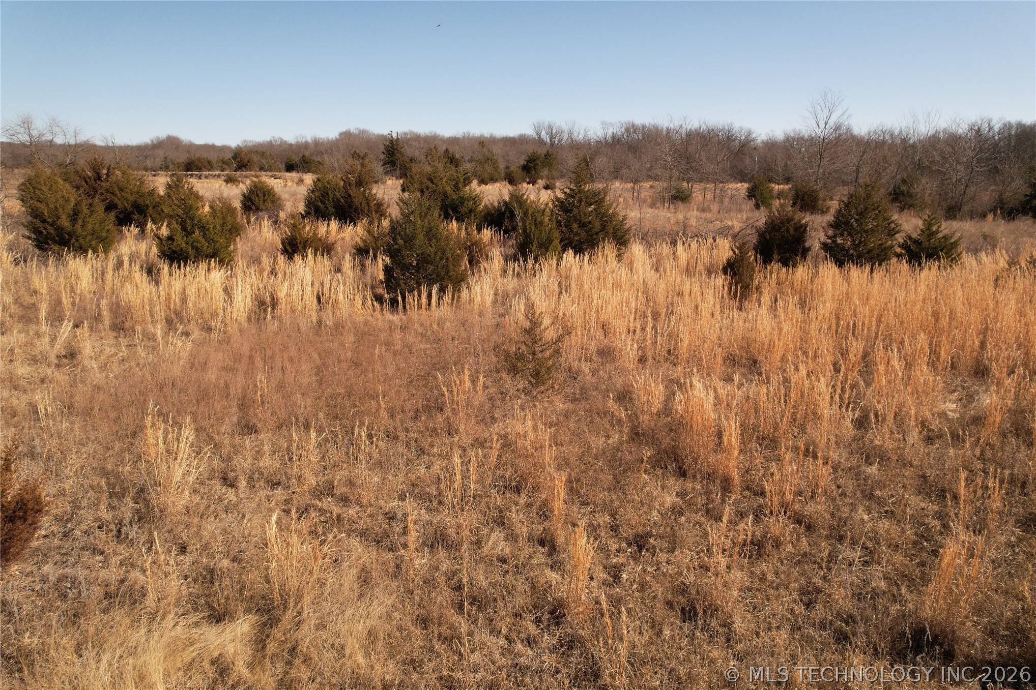 0001 County Road 3740 Property Photo 43